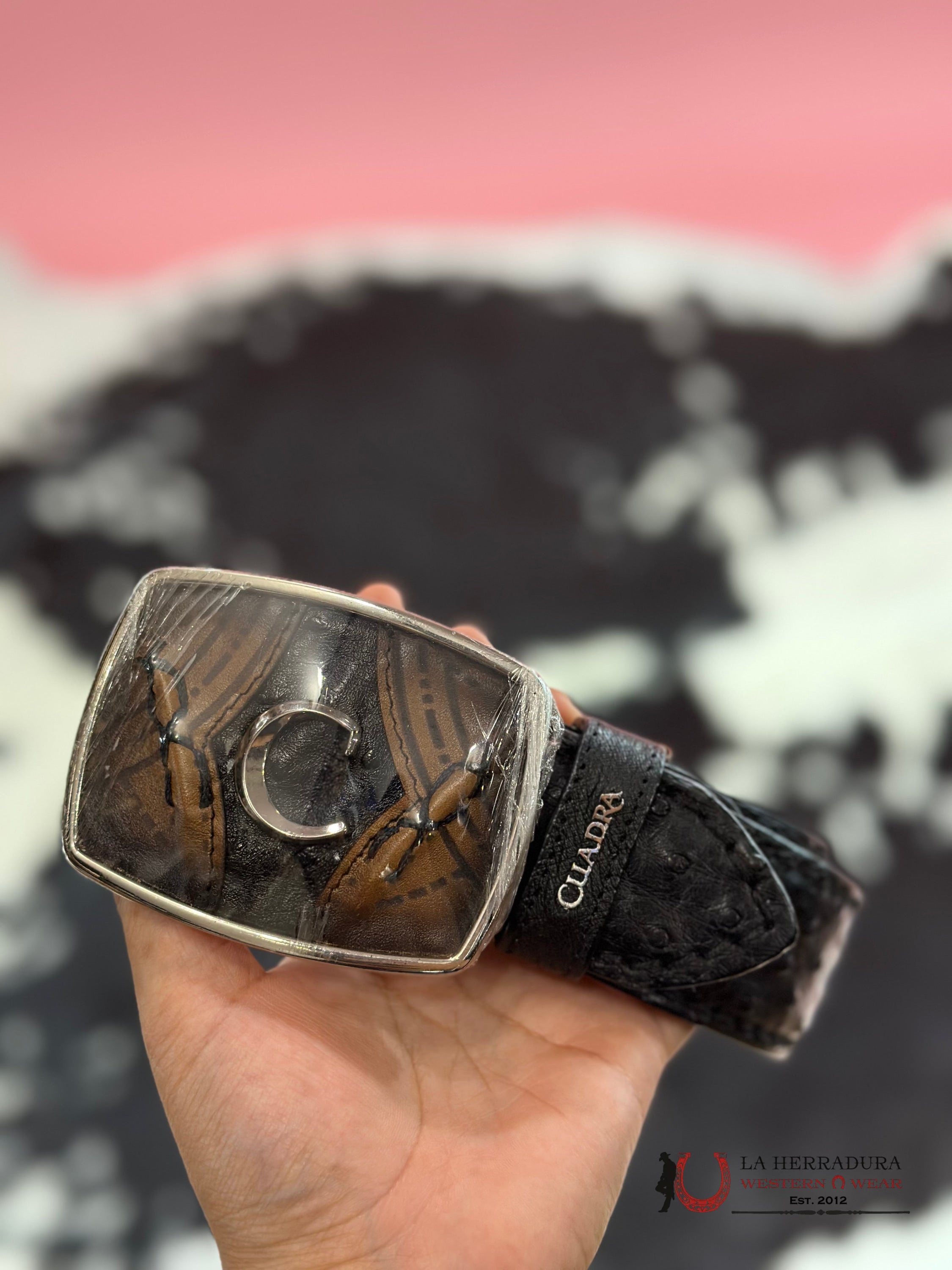 Cuadra Avestruz Complete Negro Belt Bc347 Cinturones Hombres