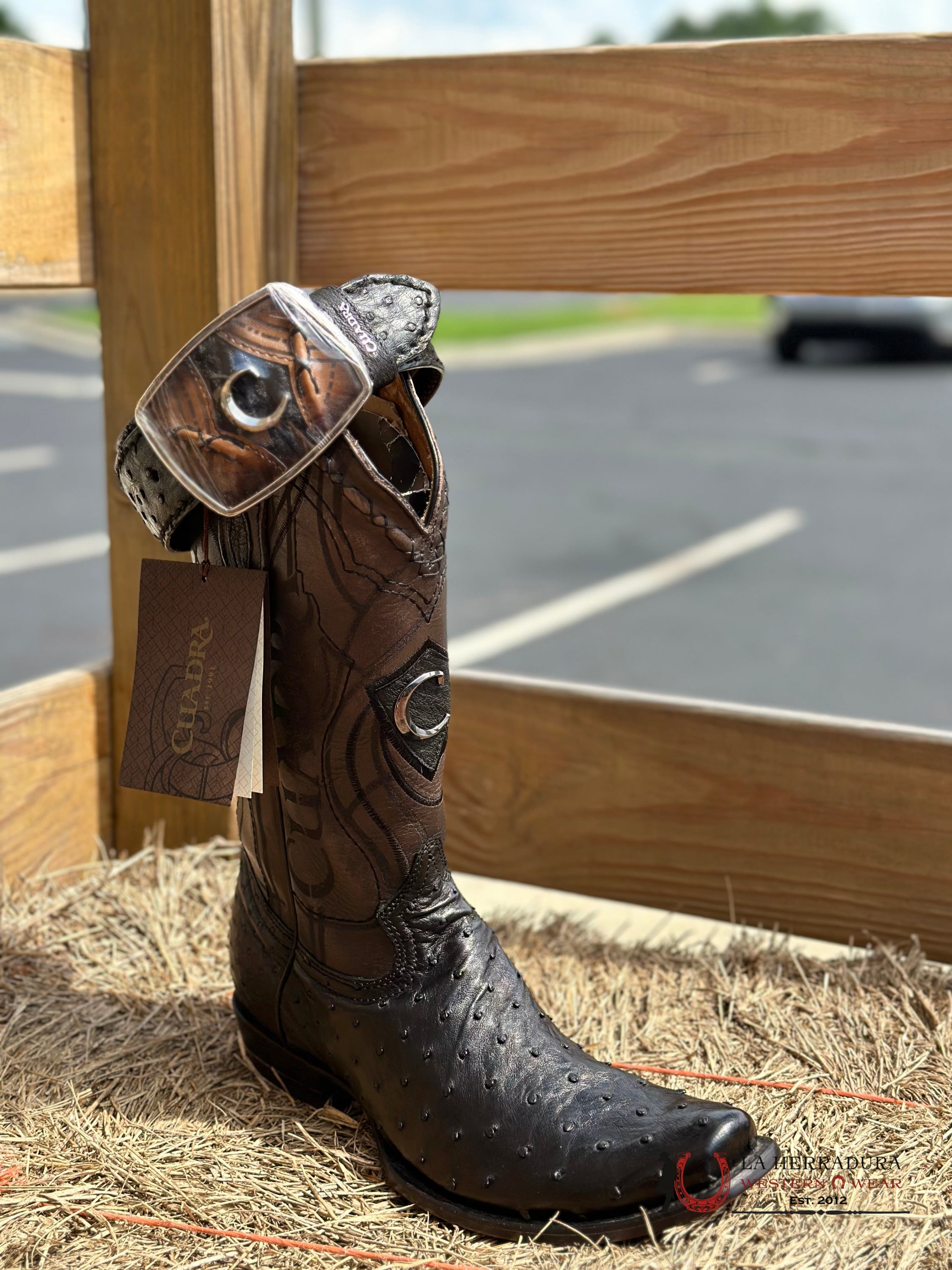 Cuadra Avestruz Complete Negro Belt Bc347 Cinturones Hombres