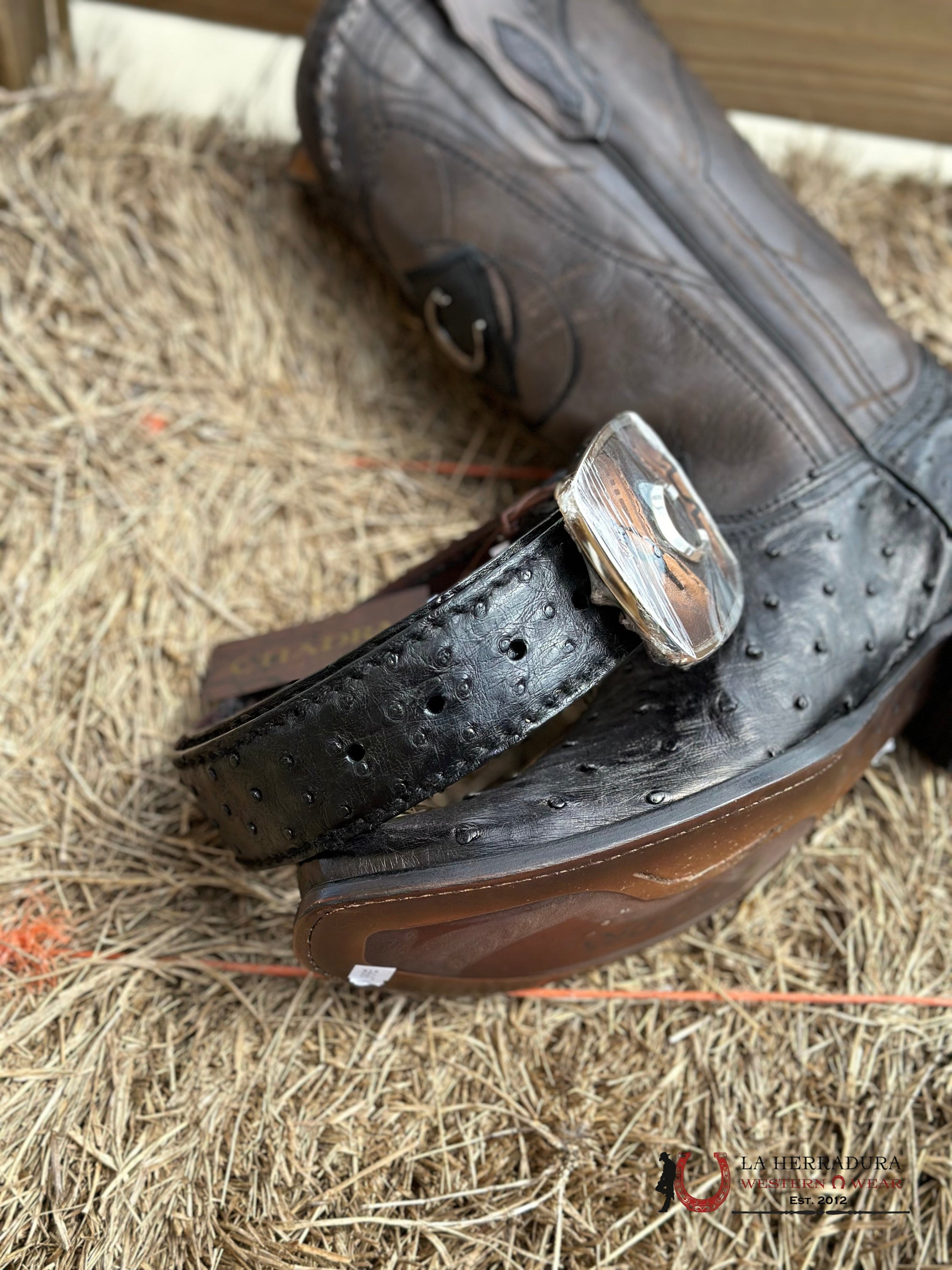 Cuadra Avestruz Complete Negro Belt Bc347 Cinturones Hombres