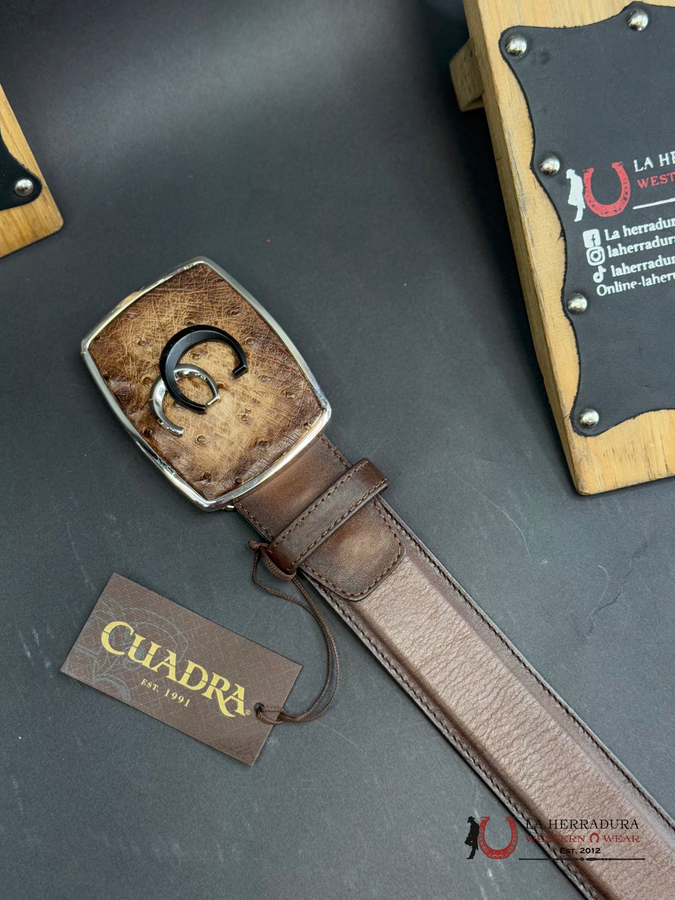 Cuadra Avestruz Lugan Cafe Belt Bc321 Cinturones Hombres