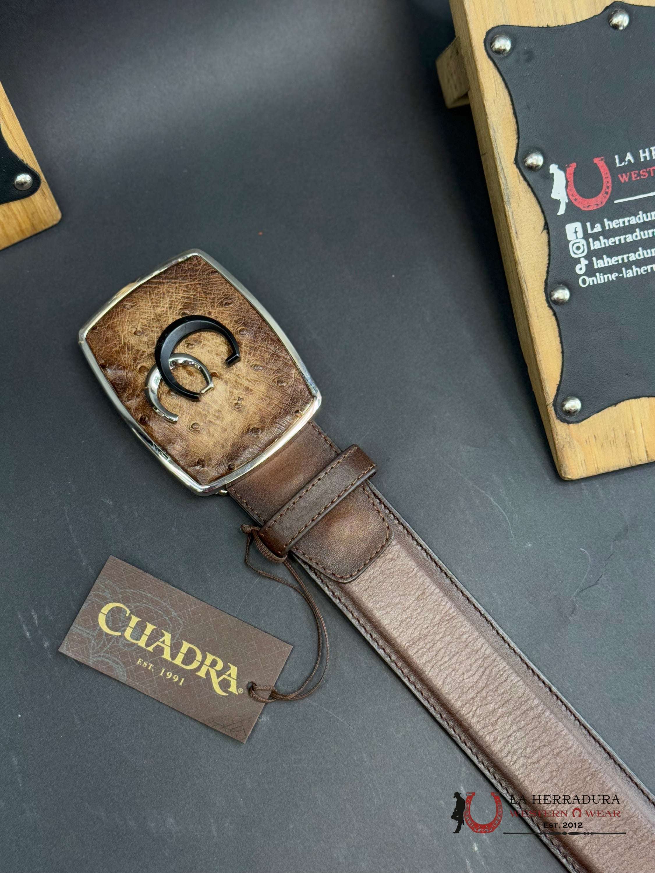 Cuadra Avestruz Lugan Cafe Belt Bc321 Cinturones Hombres