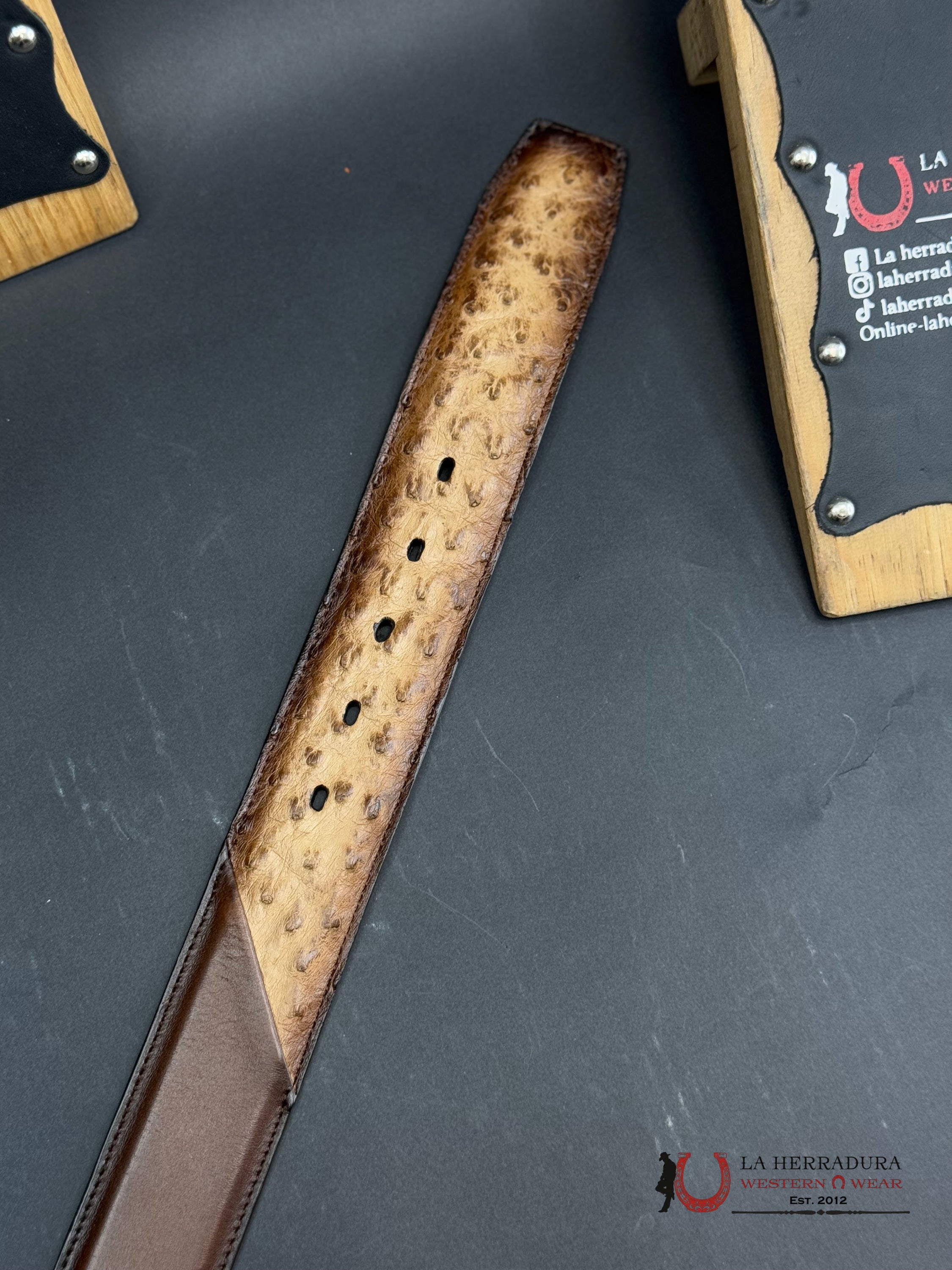 Cuadra Avestruz Lugan Cafe Belt Bc321 Cinturones Hombres