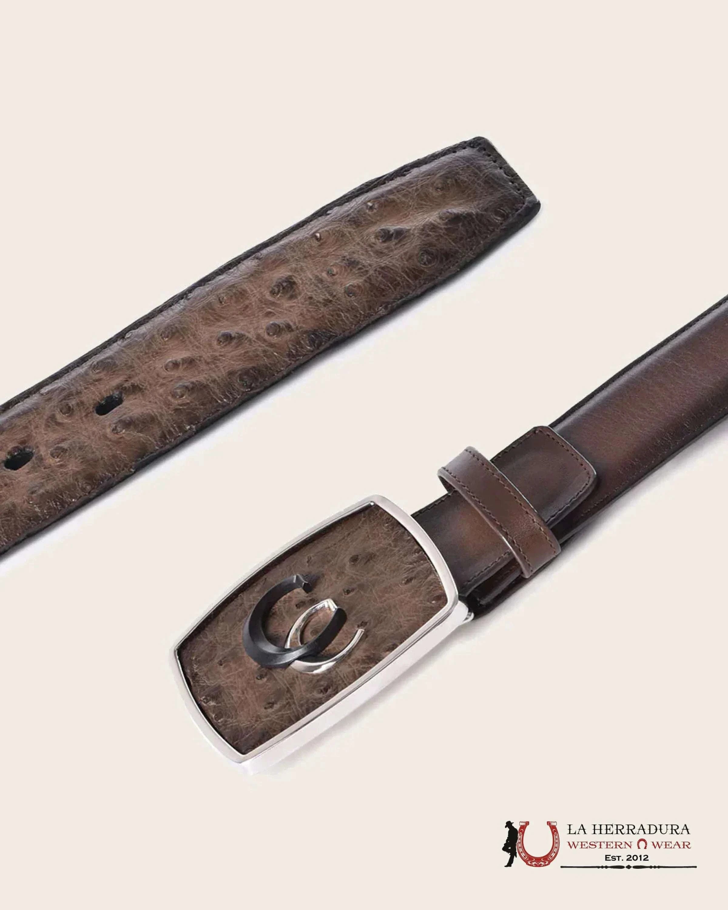 CUADRA AVESTRUZ LUGAN CAFE BELT BC321 CINTURONES HOMBRES