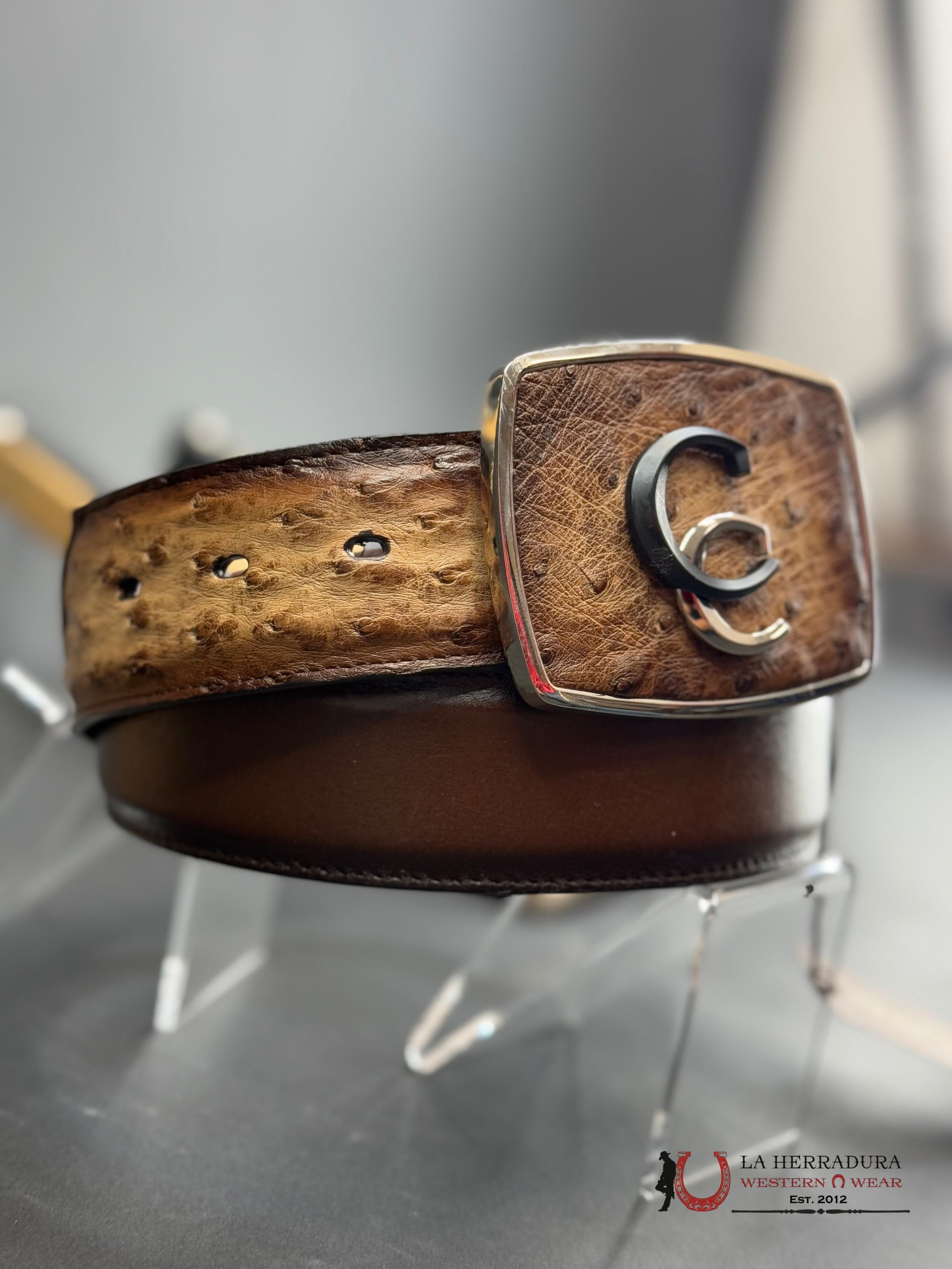 Cuadra Avestruz Lugan Cafe Belt Bc321 Cinturones Hombres