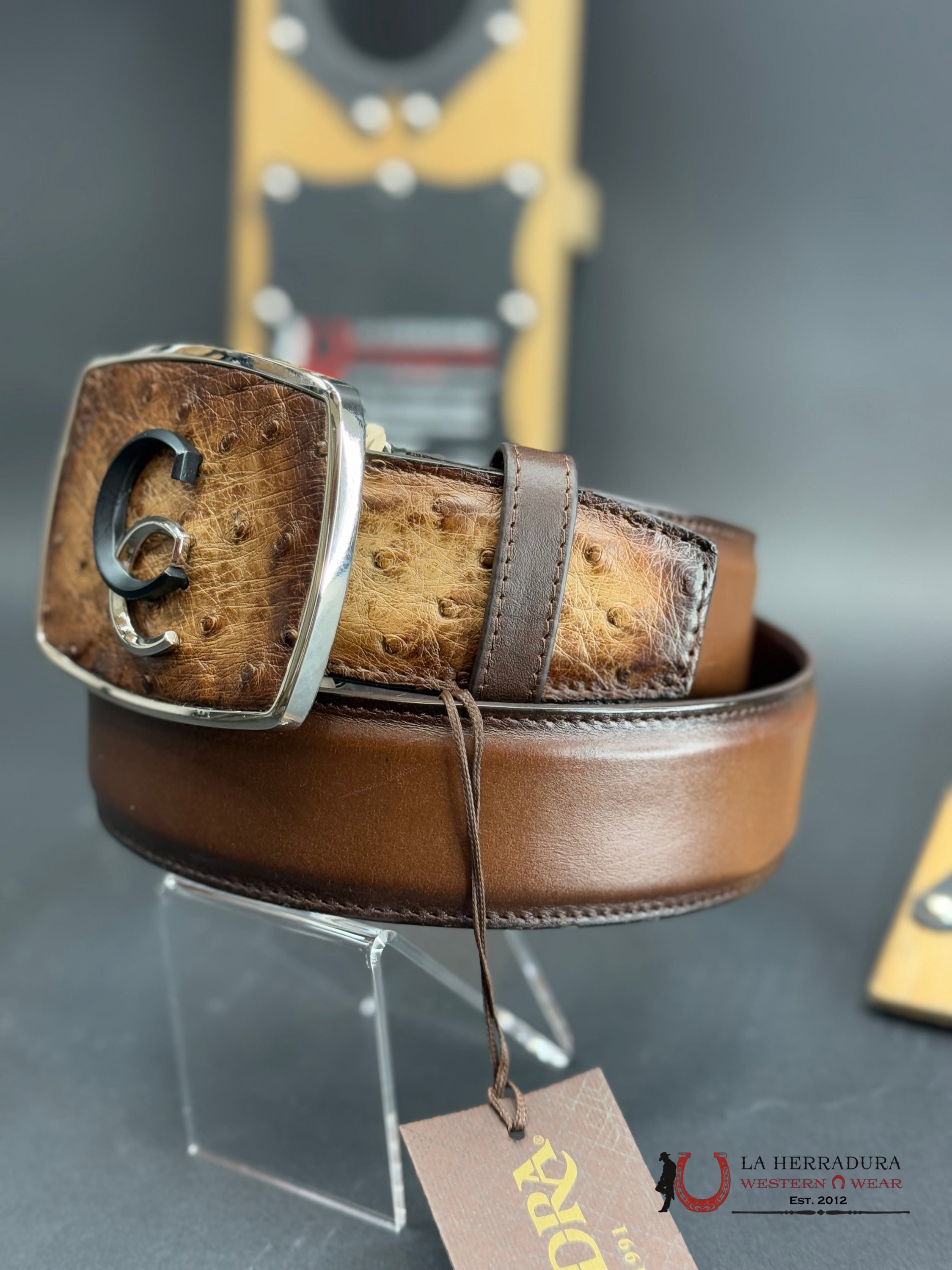 Cuadra Avestruz Lugan Cafe Belt Bc321 Cinturones Hombres