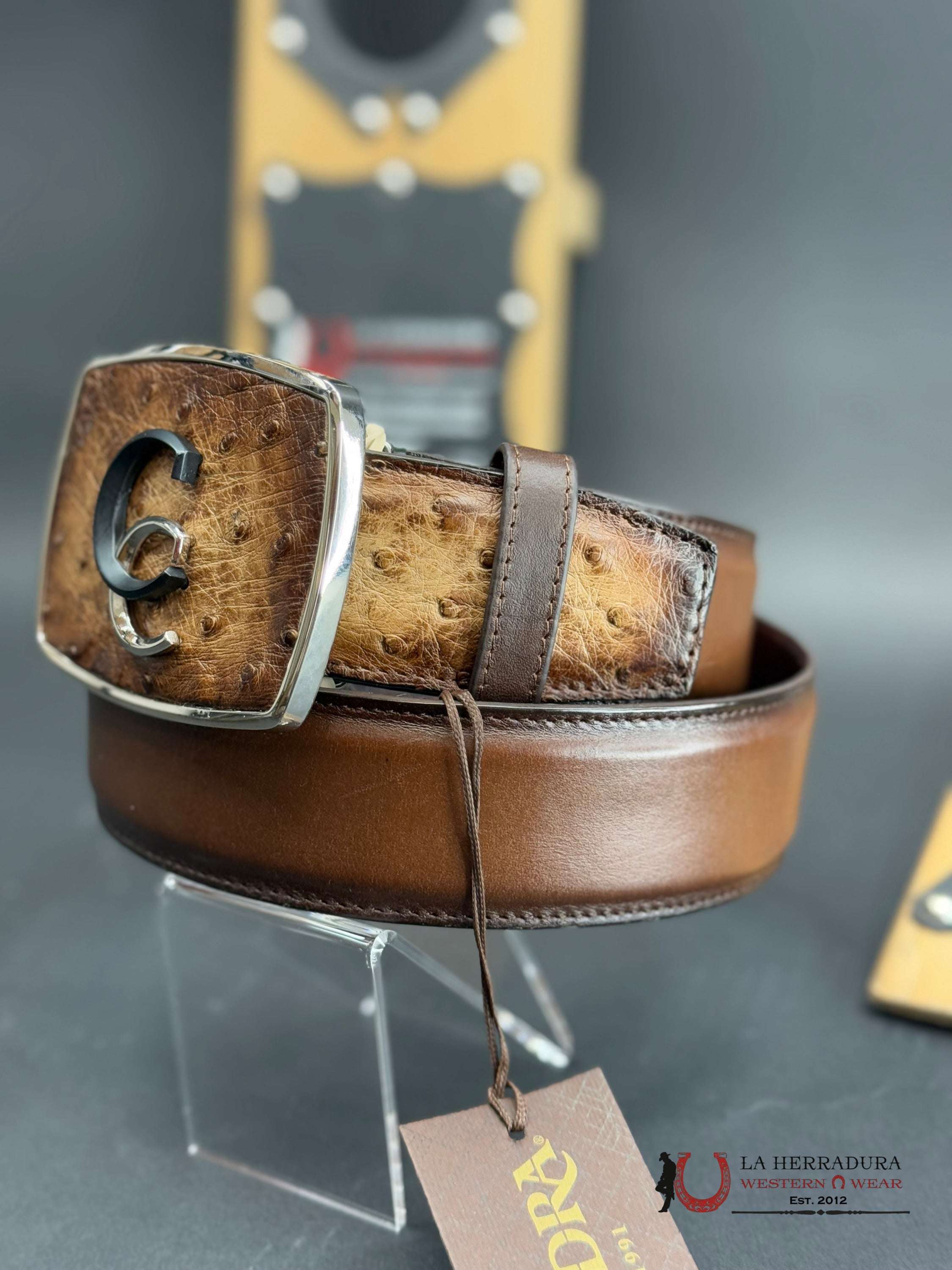 Cuadra Avestruz Lugan Cafe Belt Bc321 Cinturones Hombres