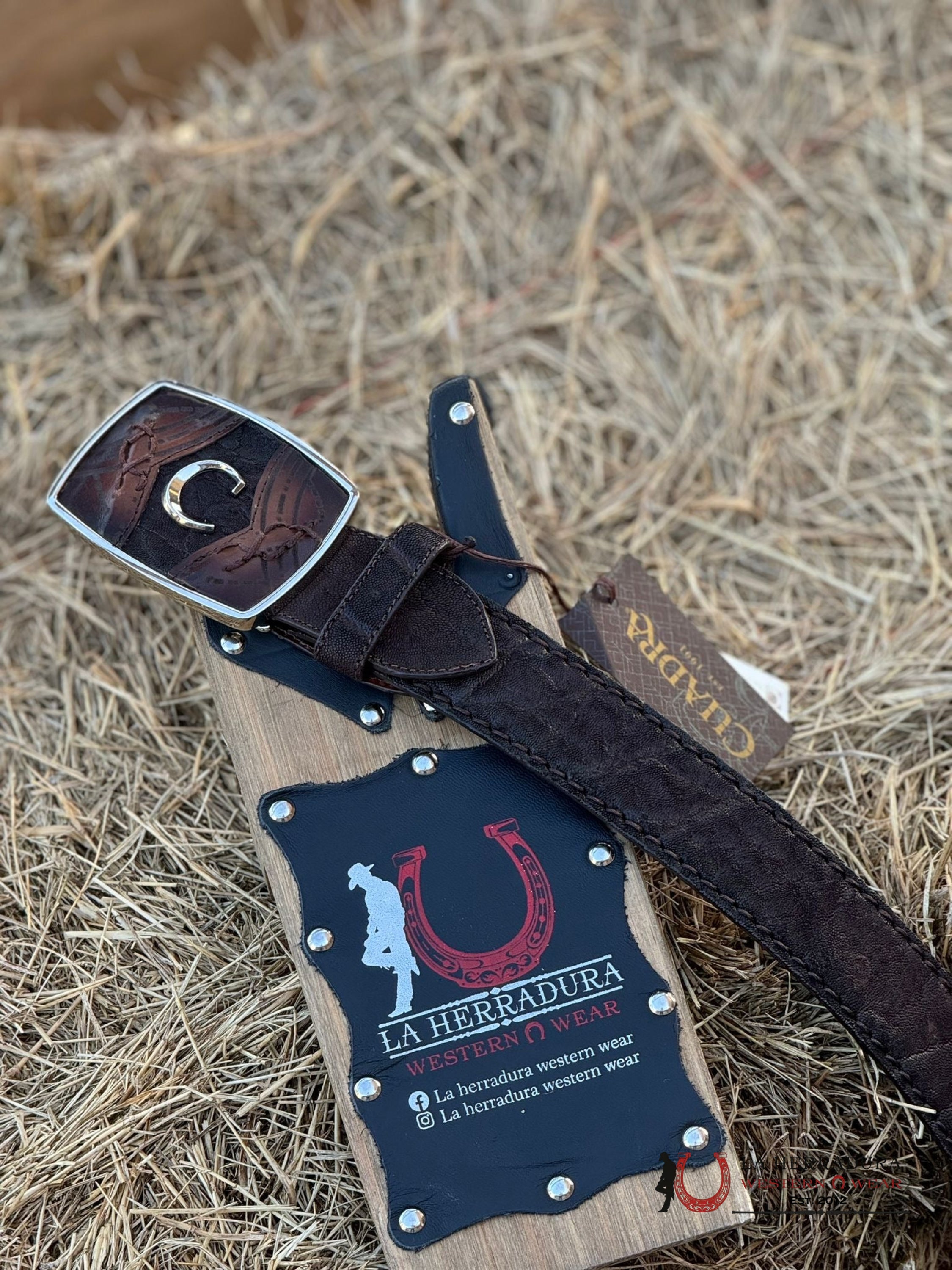 Cuadra Belt Elephant Brown Cafe Castaño Cinturones Hombres