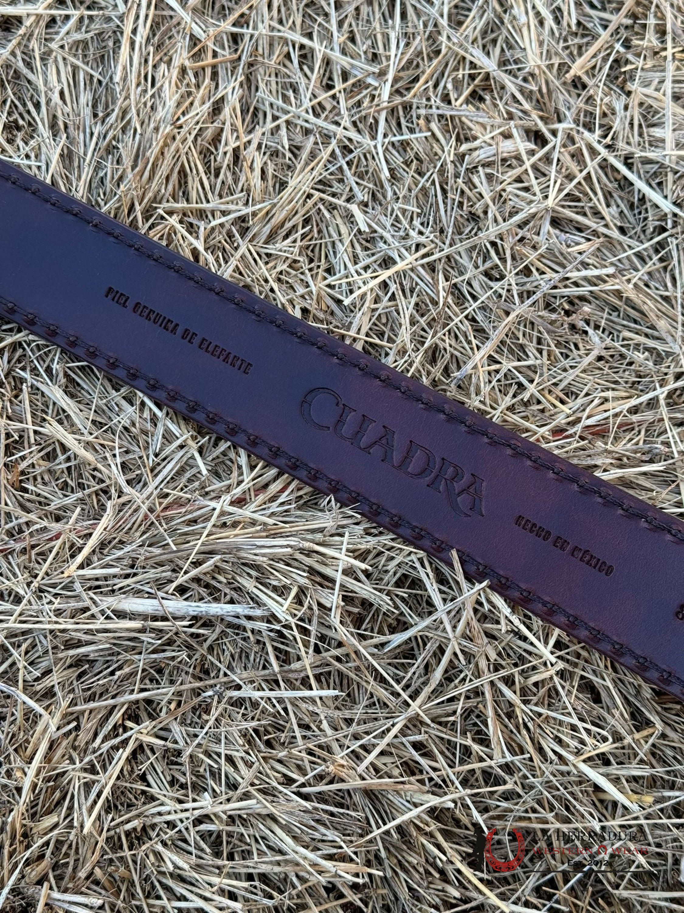 Cuadra Belt Elephant Brown Cafe Castaño Cinturones Hombres