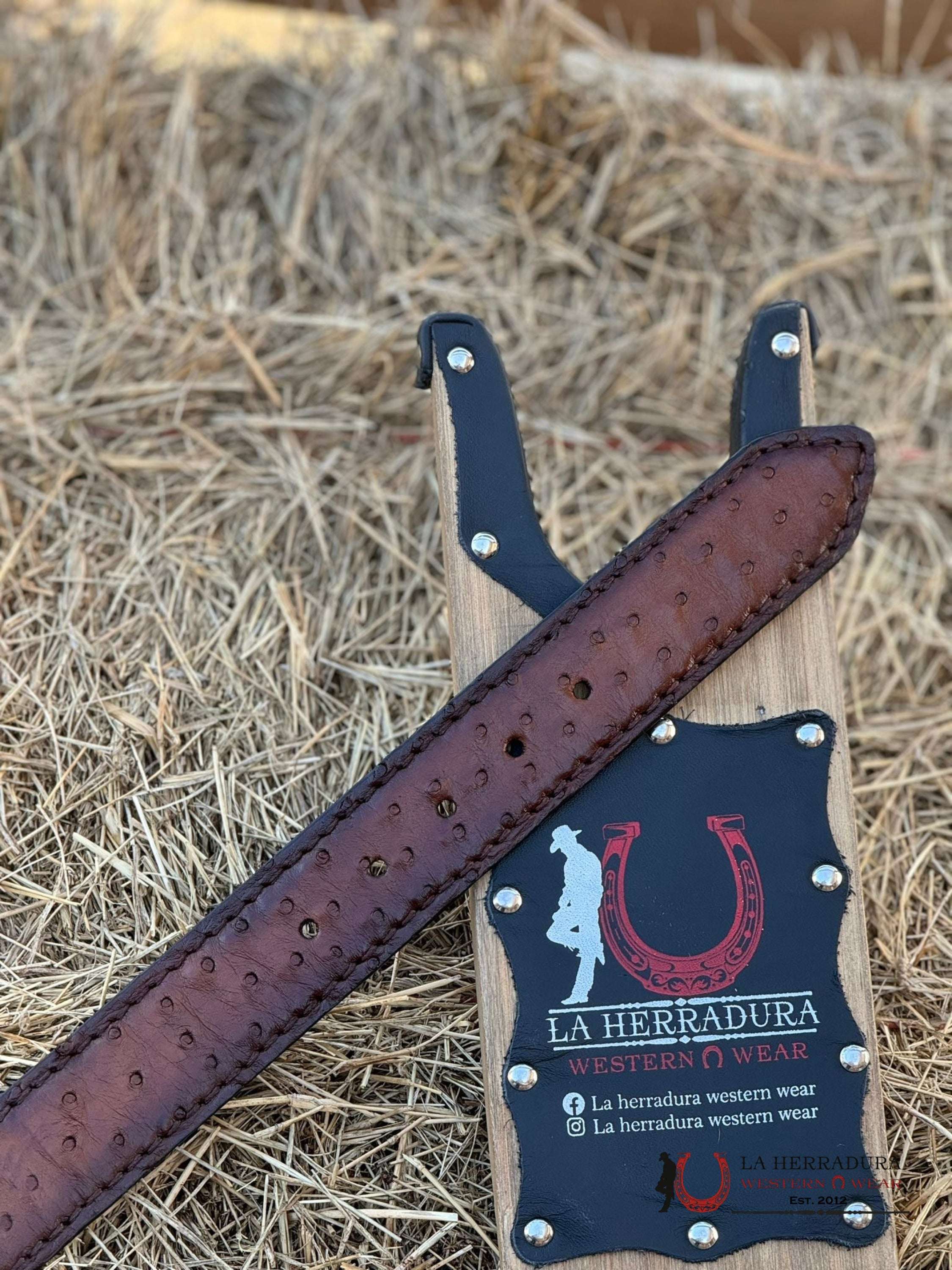 Cuadra Belt Ostrich Complete Moroni Brown Castaño Cinturones Hombres