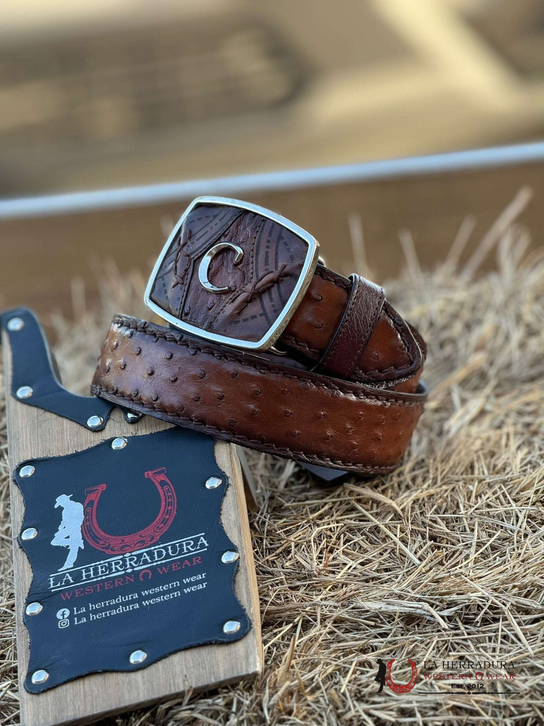 Cuadra Belt Ostrich Complete Moroni Brown Castaño Cinturones Hombres