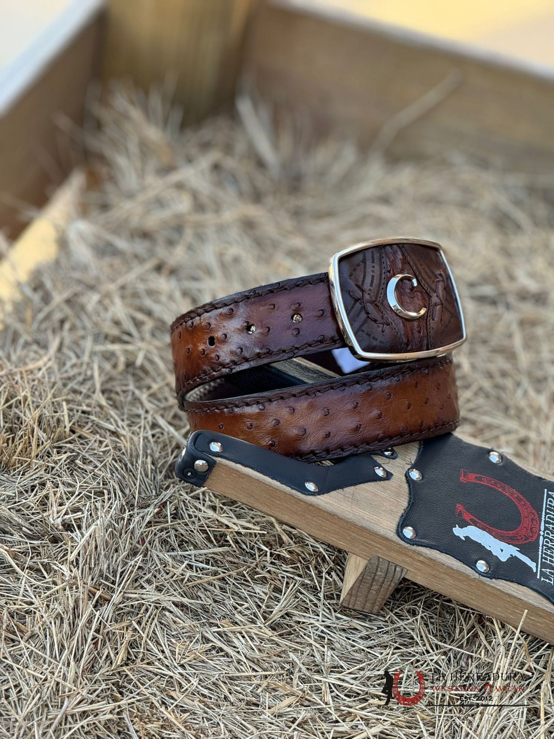 Cuadra Belt Ostrich Complete Moroni Brown Castaño Cinturones Hombres