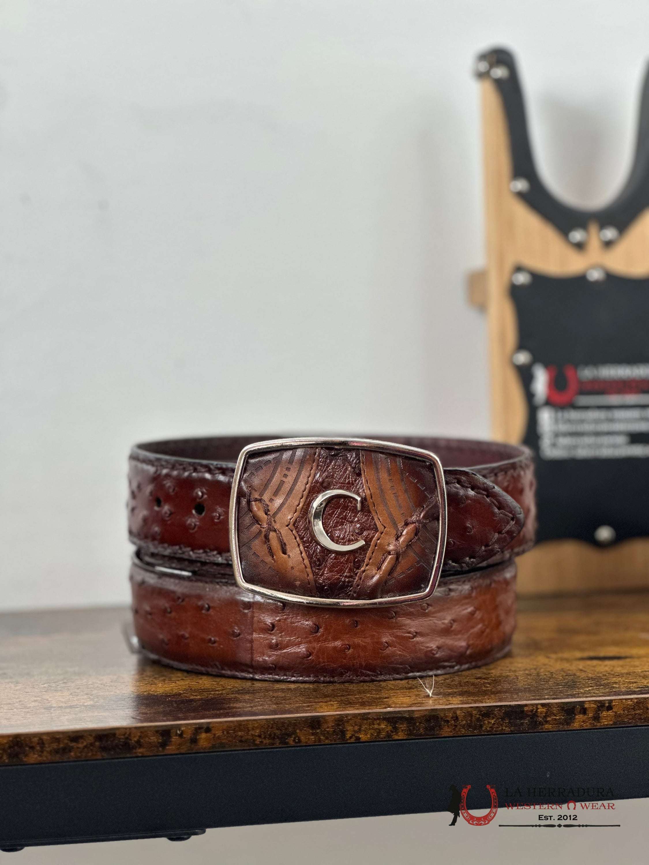 Cuadra Belt Ostrich Complete Moroni Brown Castaño Cinturones Hombres