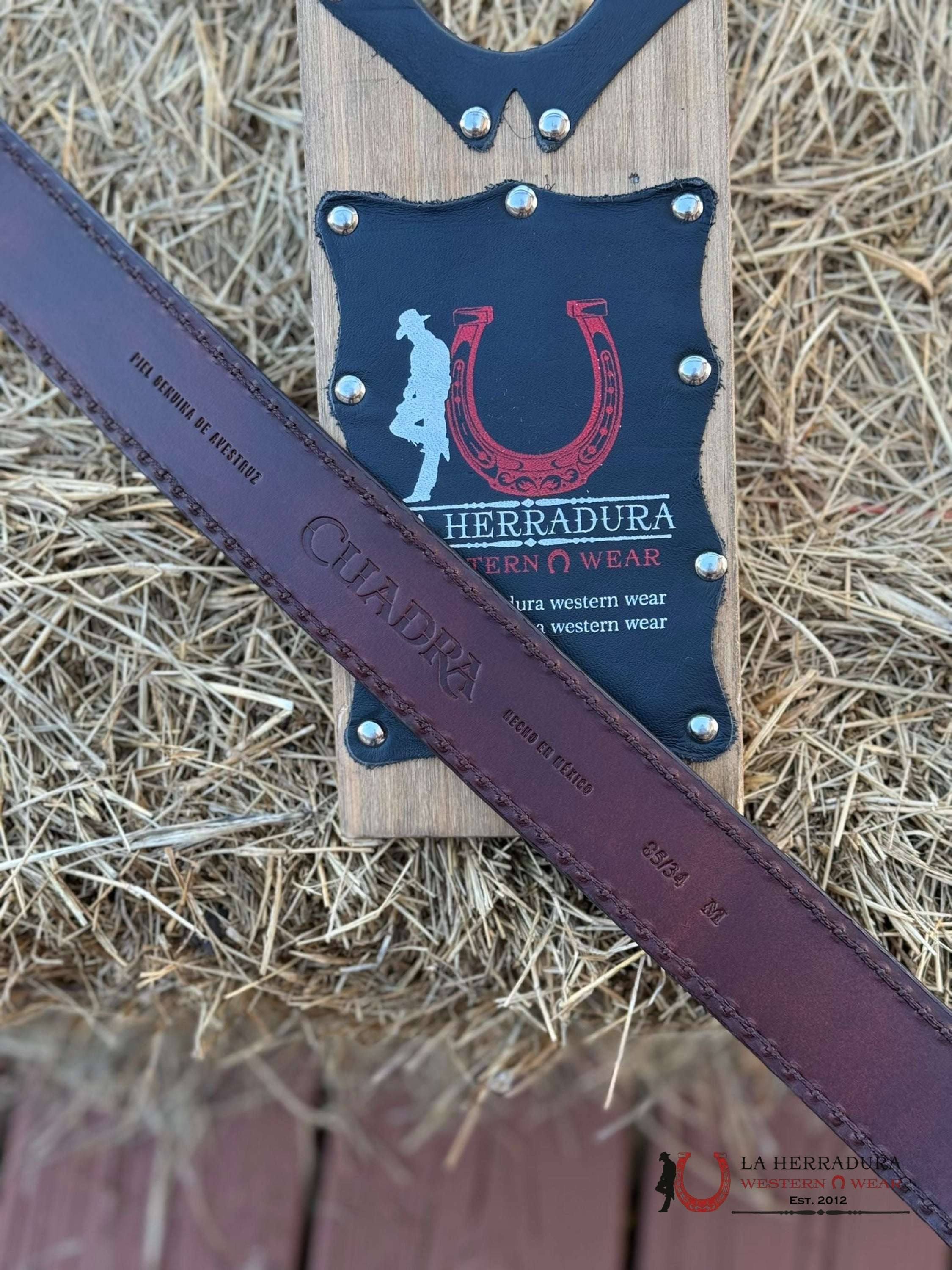 Cuadra Belt Ostrich Complete Moroni Brown Castaño Cinturones Hombres