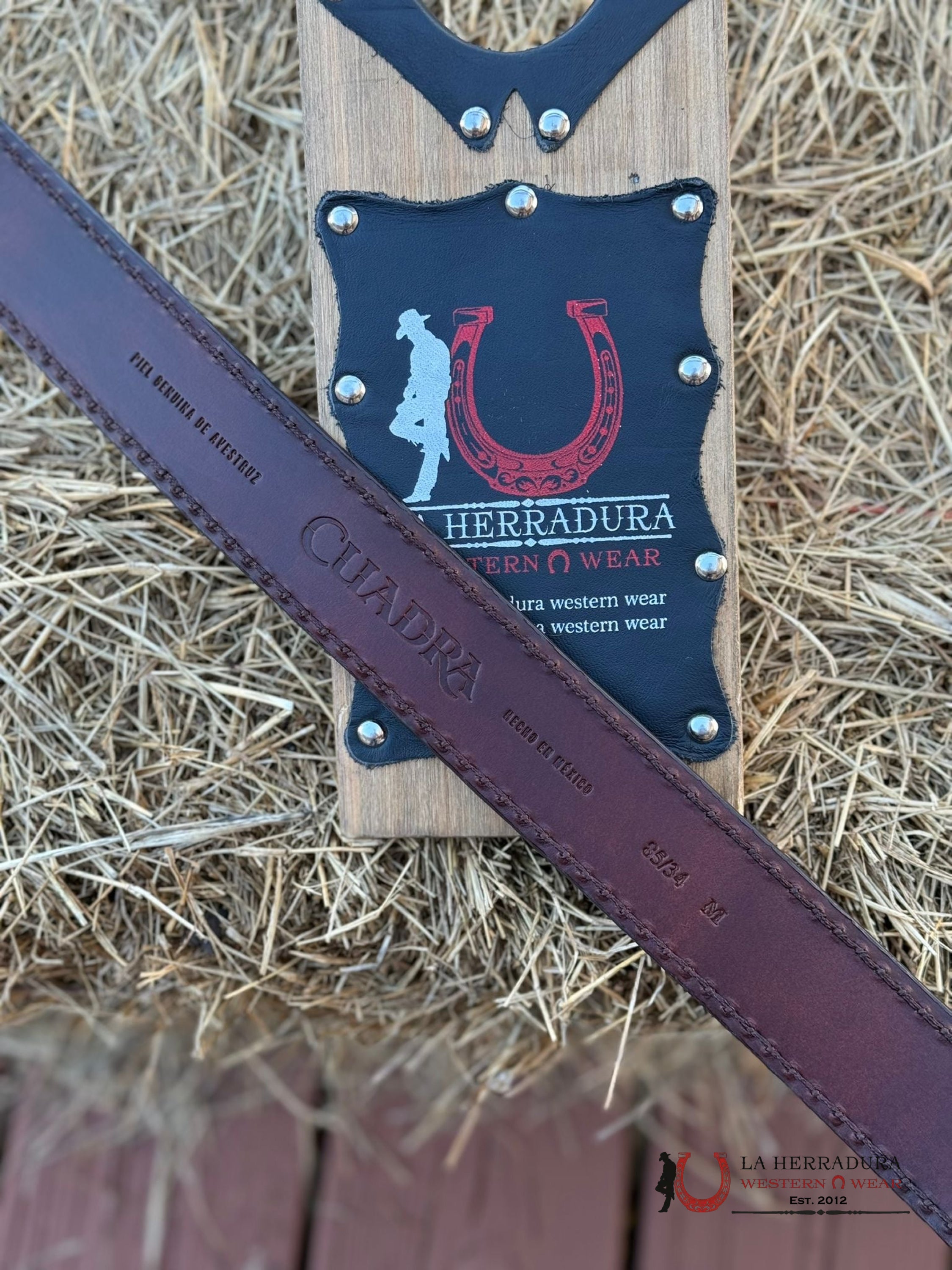 Cuadra Belt Ostrich Complete Moroni Brown Castaño Cinturones Hombres