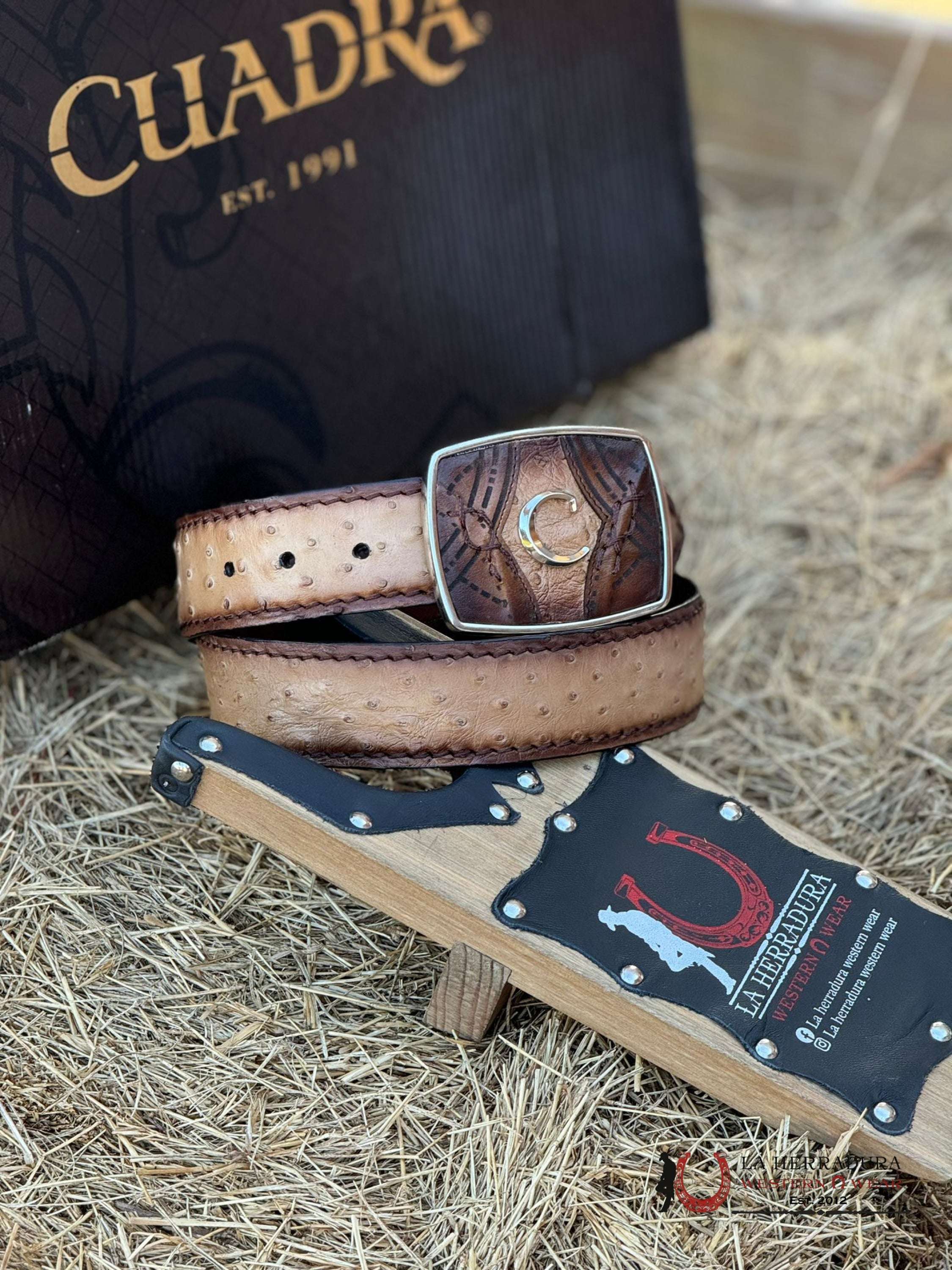 Cuadra Belt Ostrich Flame Orix Honey Complete Cinturones Hombres