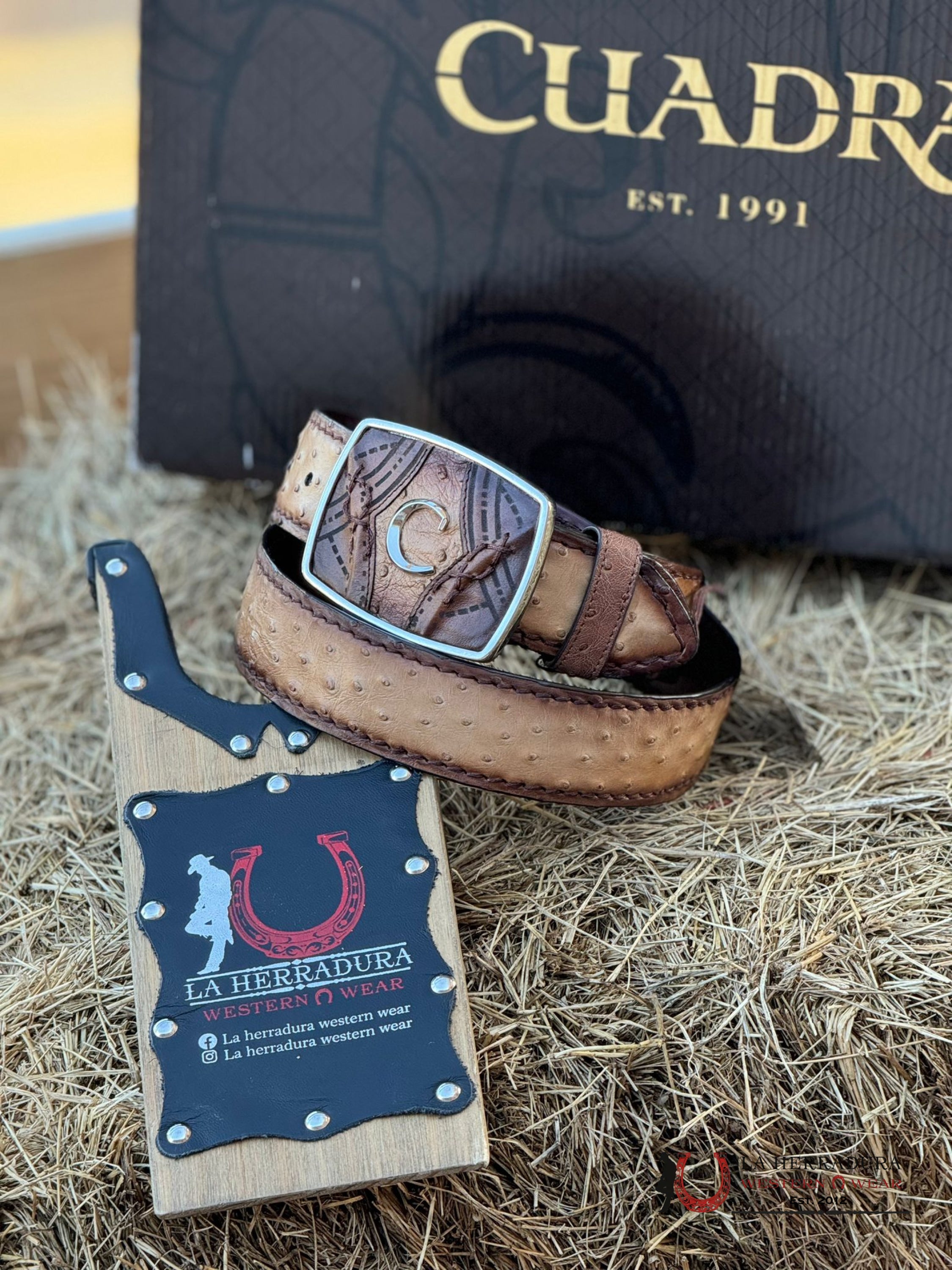 Cuadra Belt Ostrich Flame Orix Honey Complete Cinturones Hombres