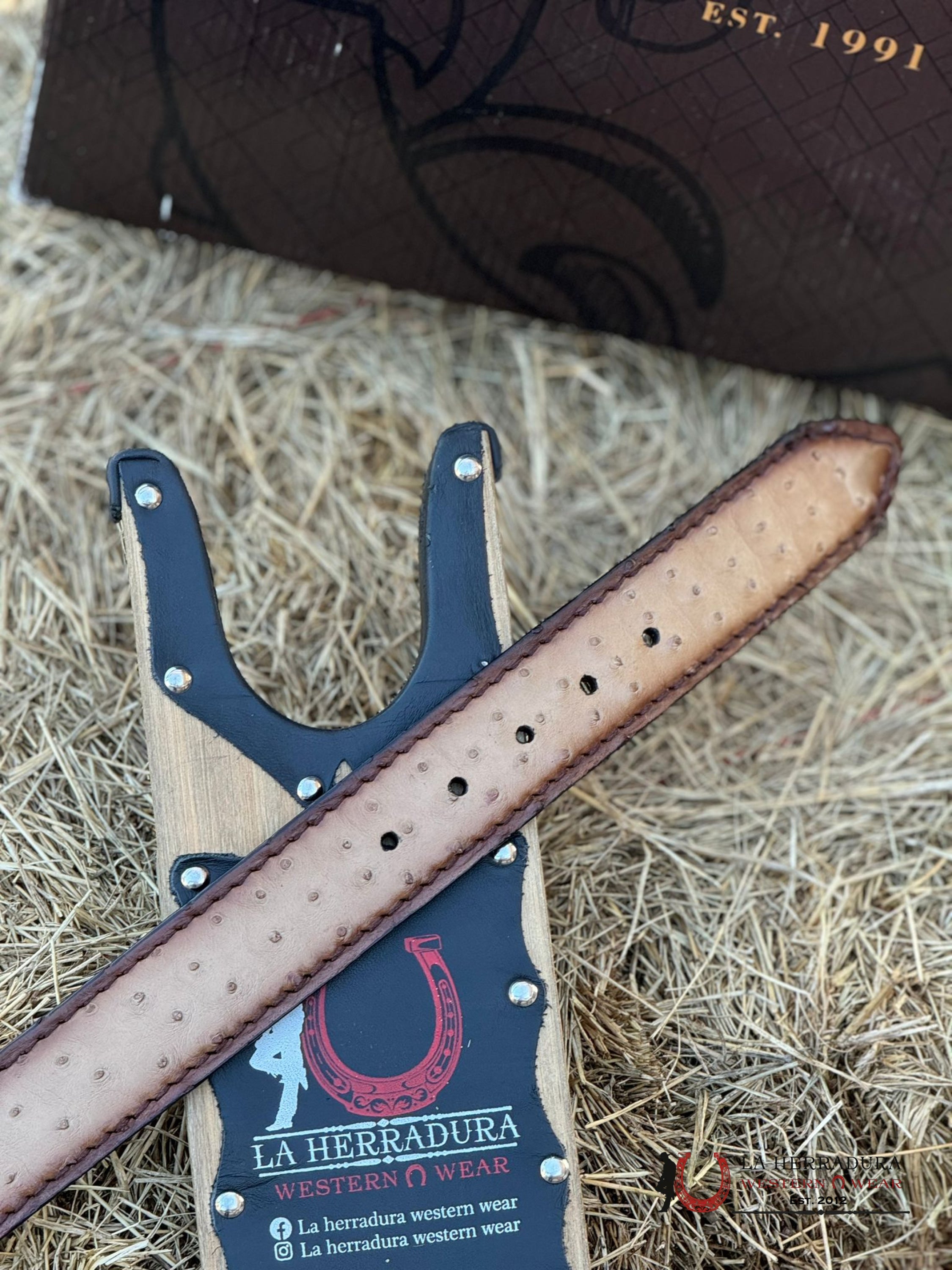 Cuadra Belt Ostrich Flame Orix Honey Complete Cinturones Hombres