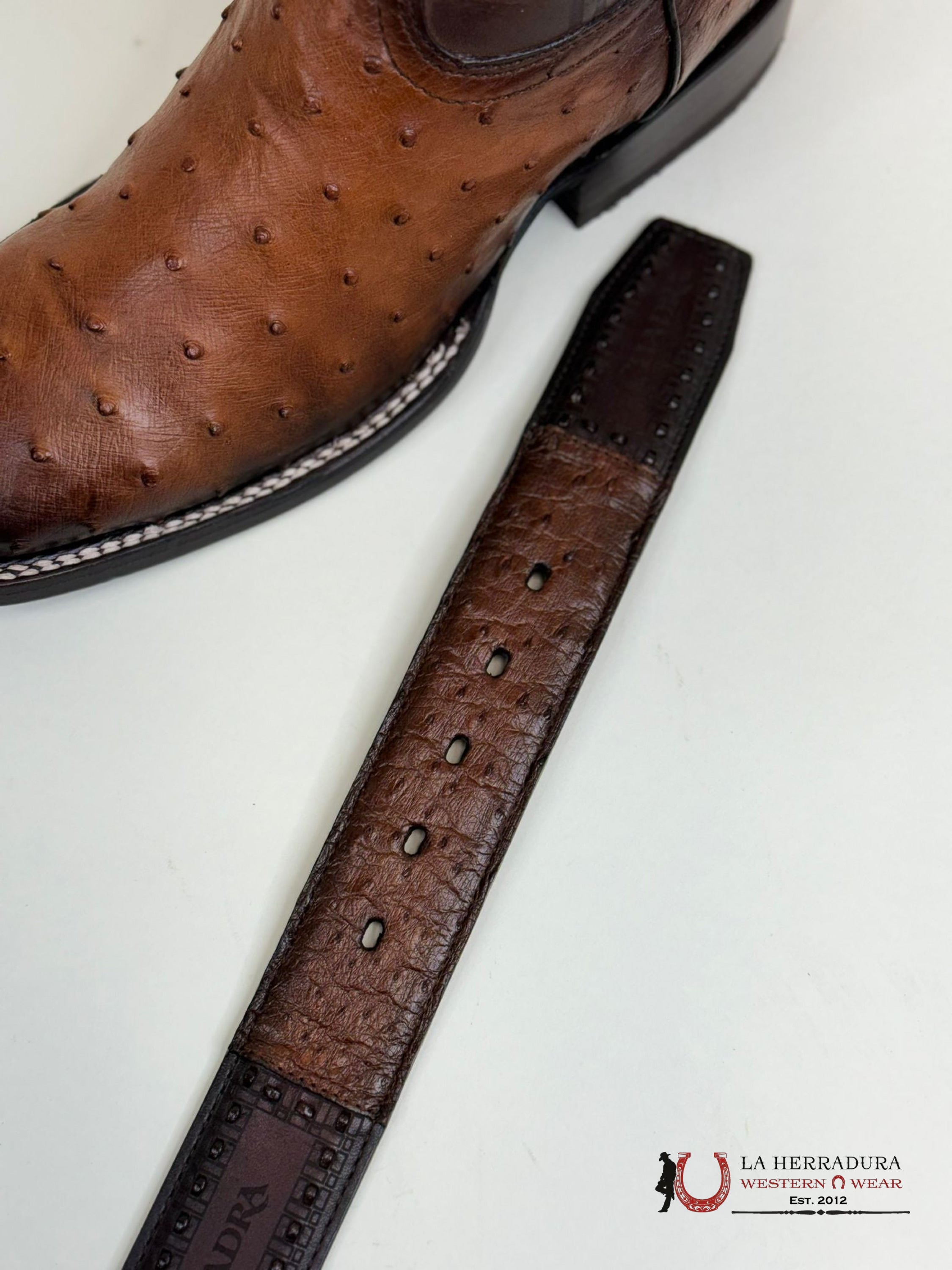 Cuadra Belt Ostrich Maroni Chestnut Cinturones Hombres