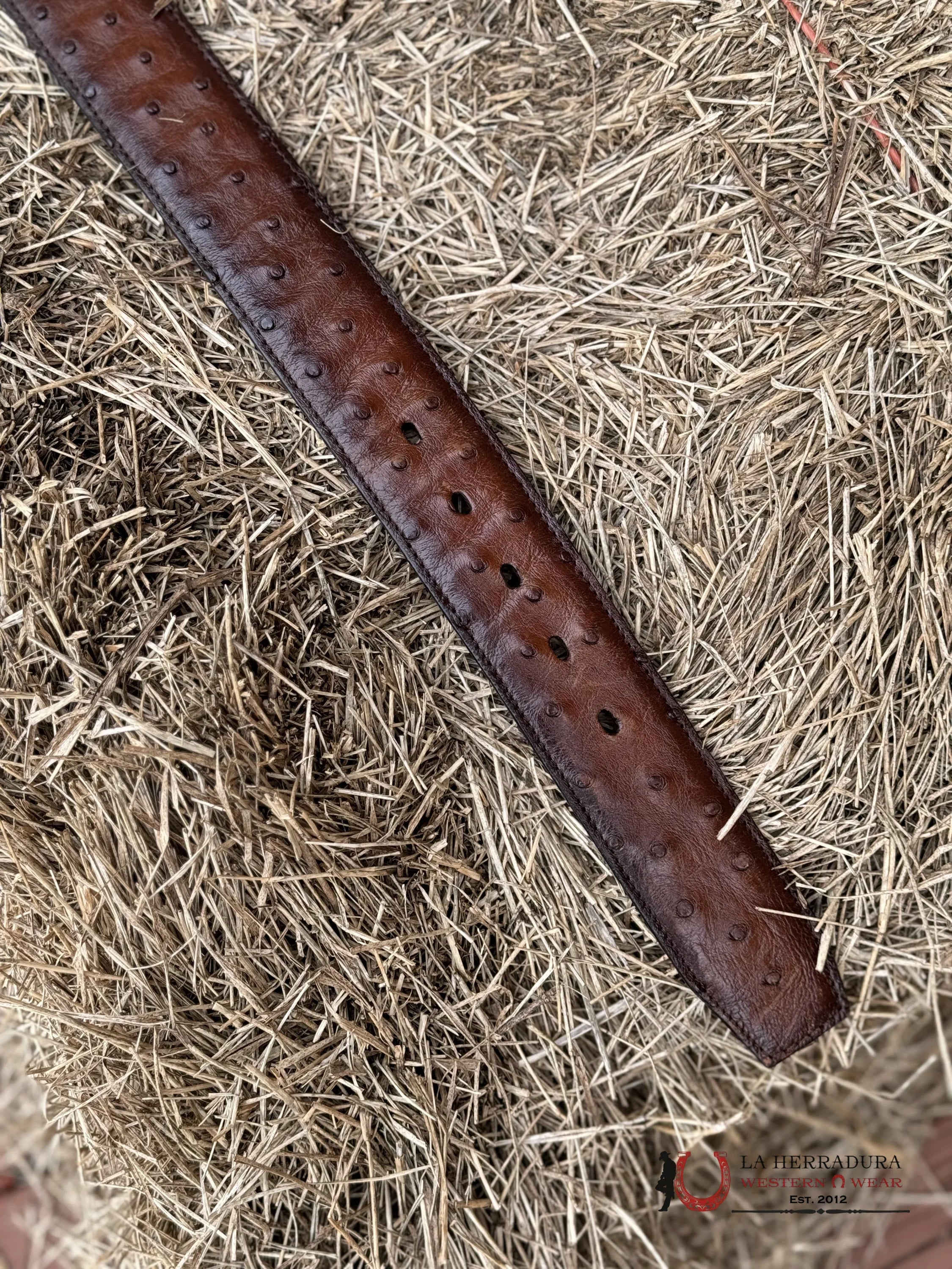 Cuadra Belt Ostrich Moroni Chestnut Castano Avestruz Cinturones Hombres
