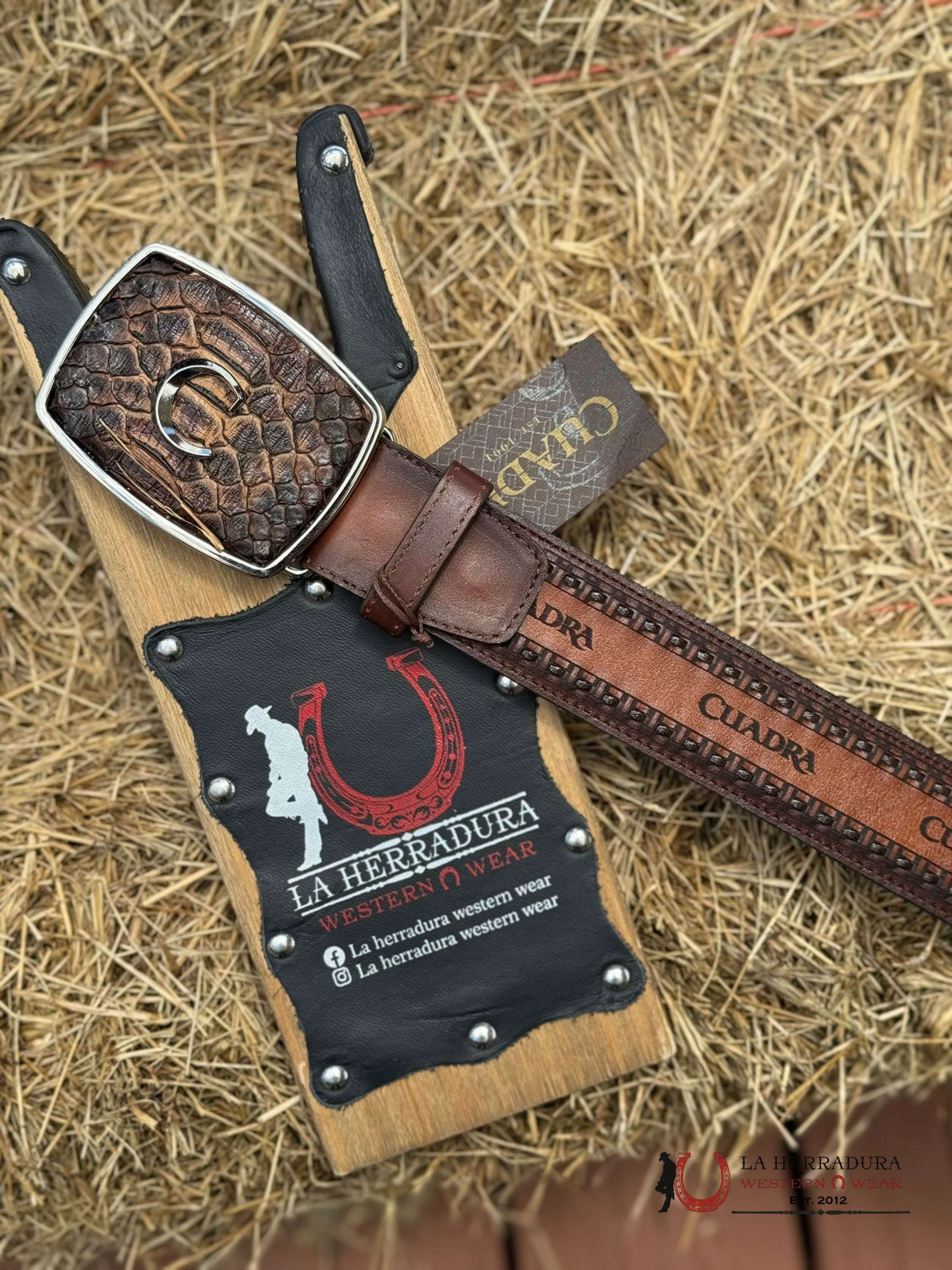 Cuadra Belt Python Brown Castano Cinturones Hombres