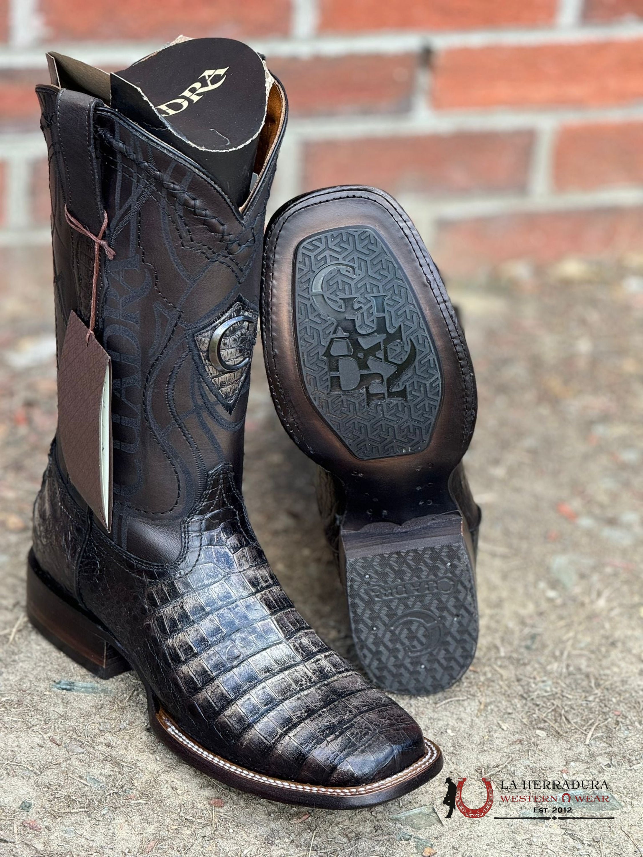 Cuadra Boot Caiman Fuscus Lomo Belly Atlantis Black Sand Embroidery & Laser Square Toe Botas Hombres