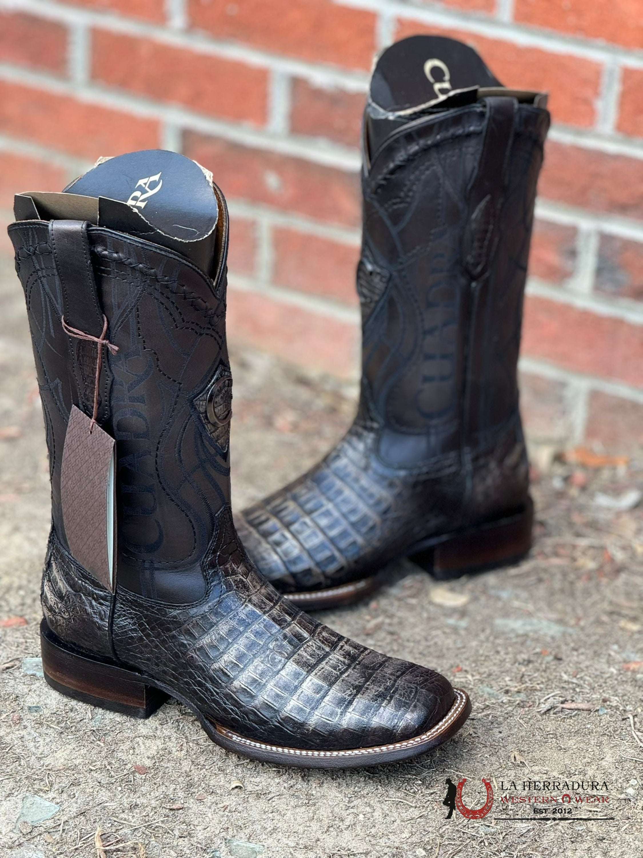 Cuadra Boot Caiman Fuscus Lomo Belly Atlantis Black Sand Embroidery & Laser Square Toe Botas Hombres