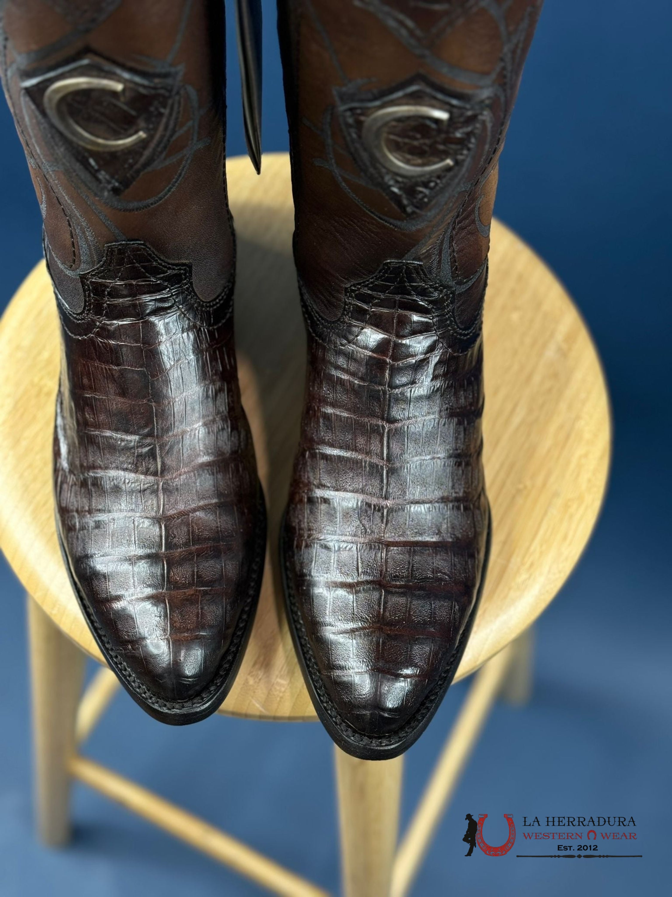 Cuadra Boot Fuscus Belly Paris Cafe Brown Caiman Laser Round Toe2C1Nfy Botas Hombres