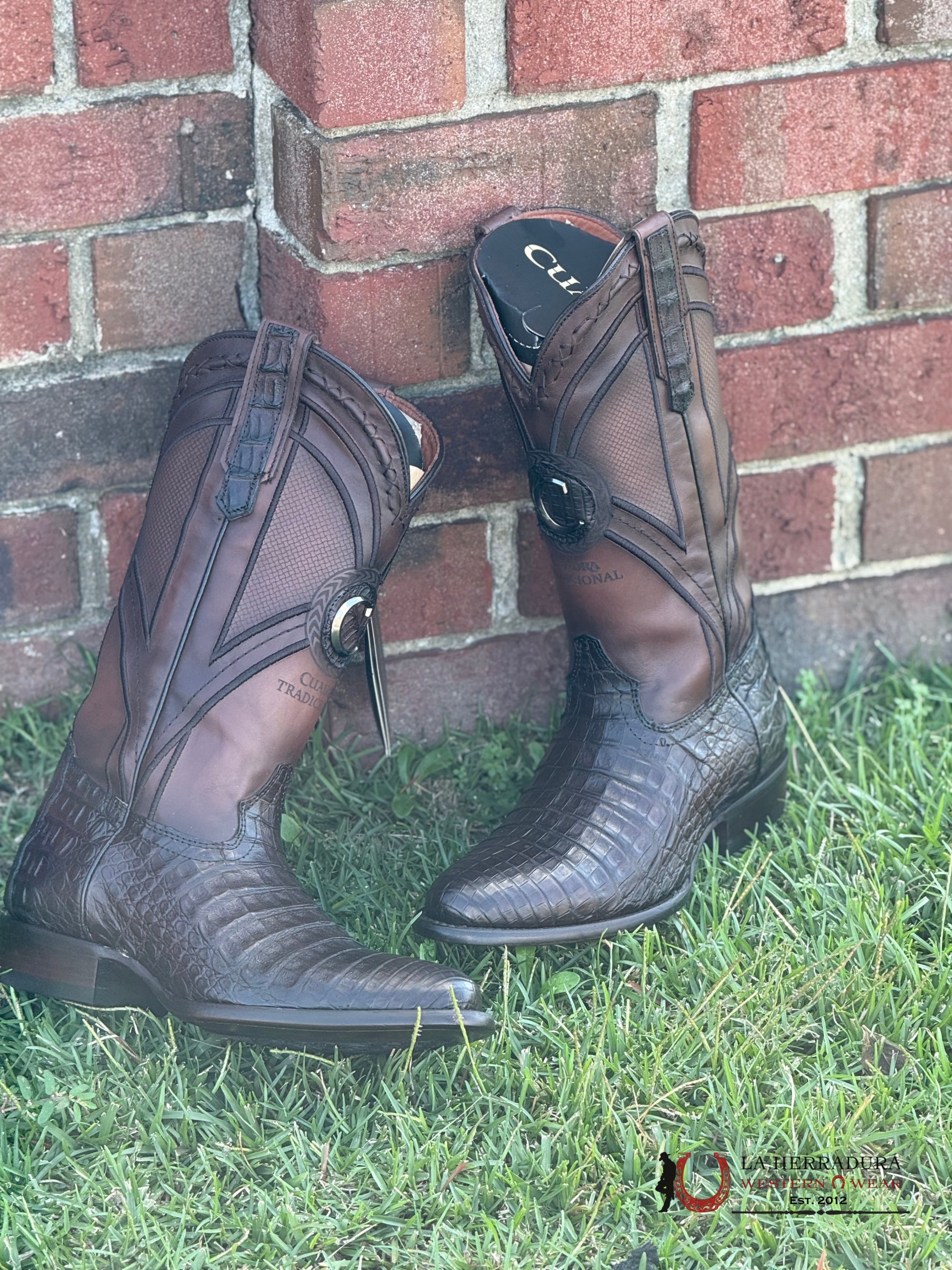 Cuadra Boot Fuscus Lomo Belly Caiman Punge Cafe Laser & Embroidery Woven Round Toe 2H0Afy Cuardra