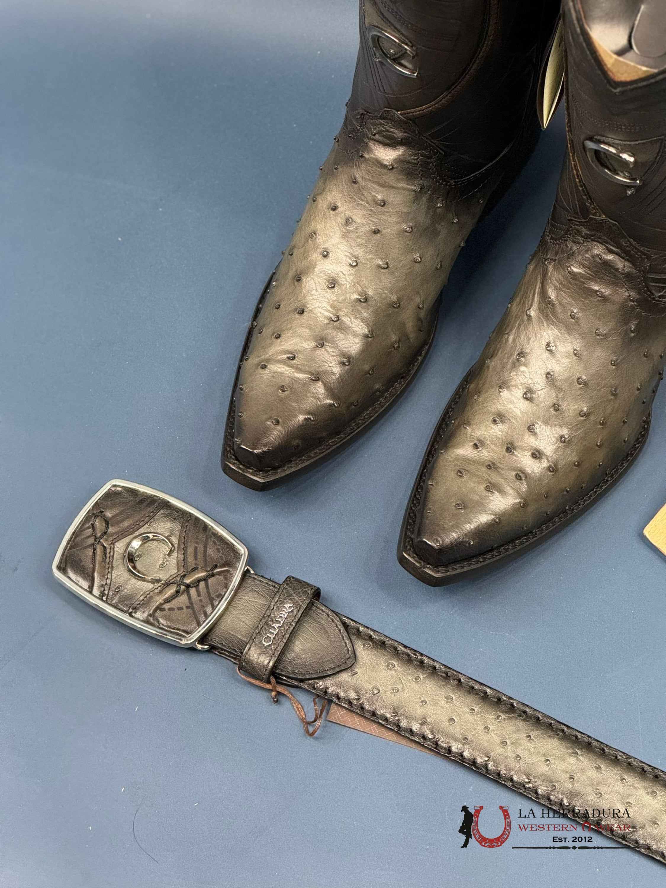 Cuadra Boot Ostrich Flame Grey Point Toe Cu838 Botas Hombres