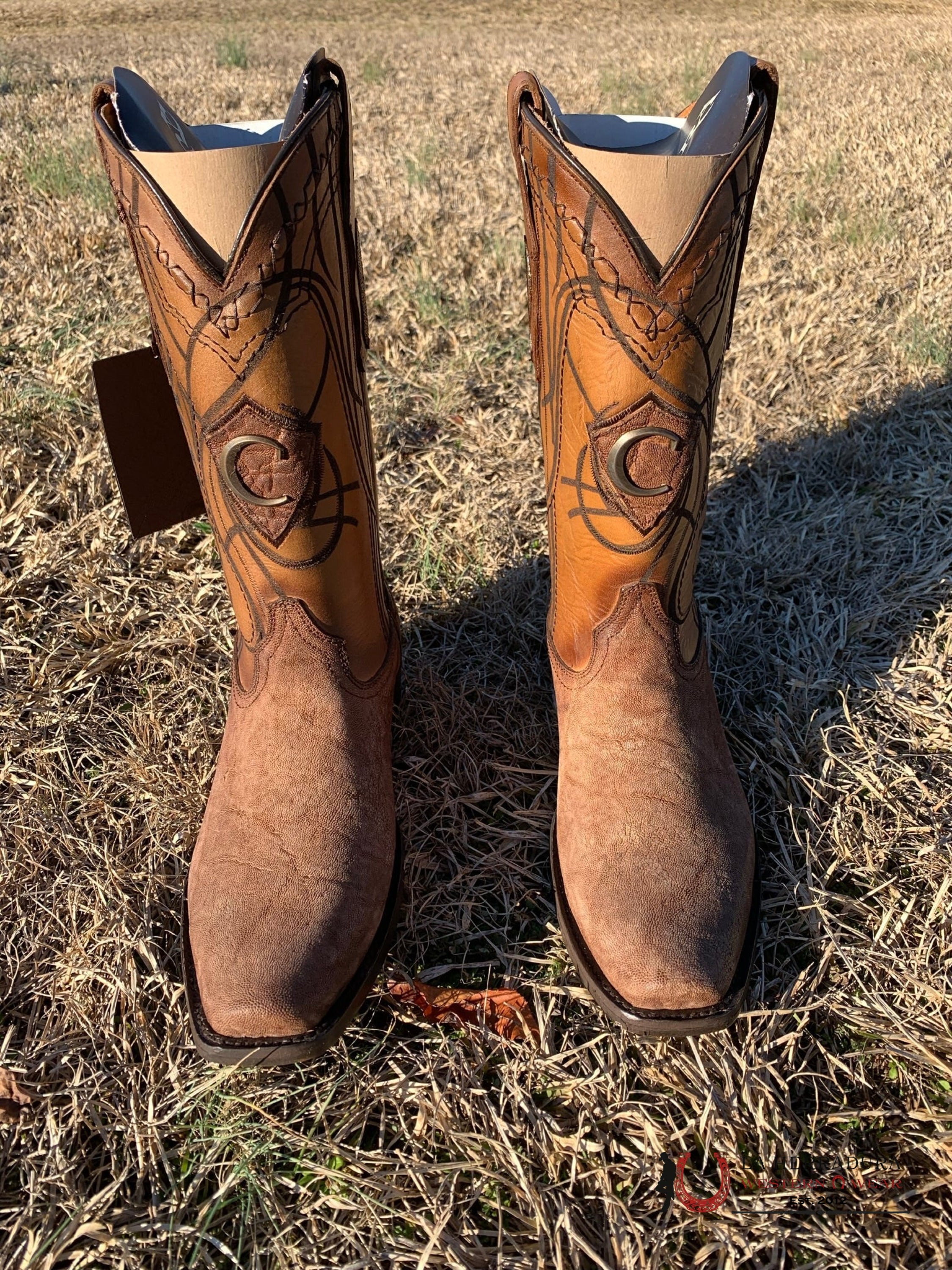 Cuadra Boots Elephant Arena Semi Square Toe 8 Usa (México 27) / Botas Hombres