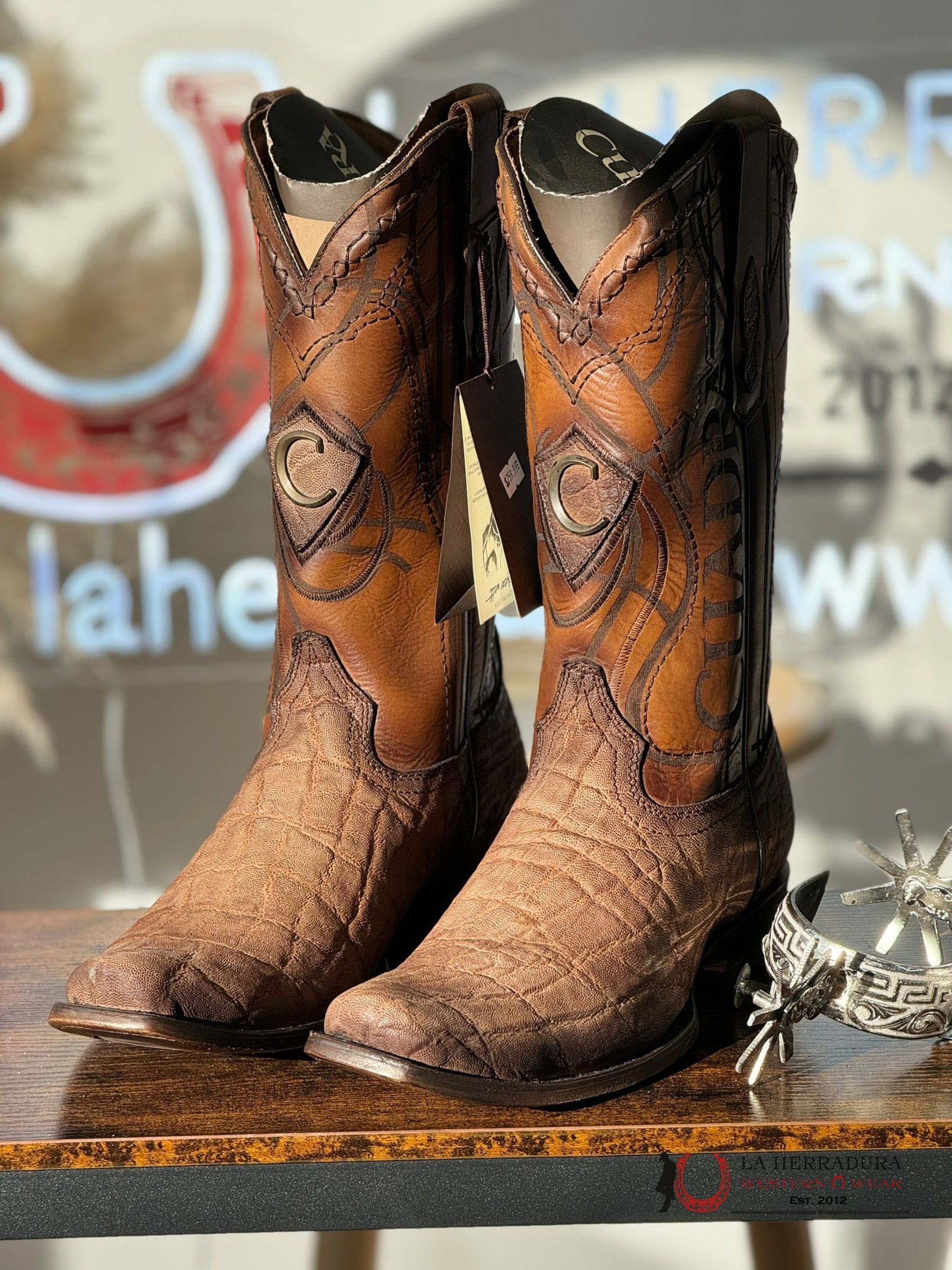 Botas De Piel De Cocodrilo Botas Piel De Cocodrilo Marca Cuadra