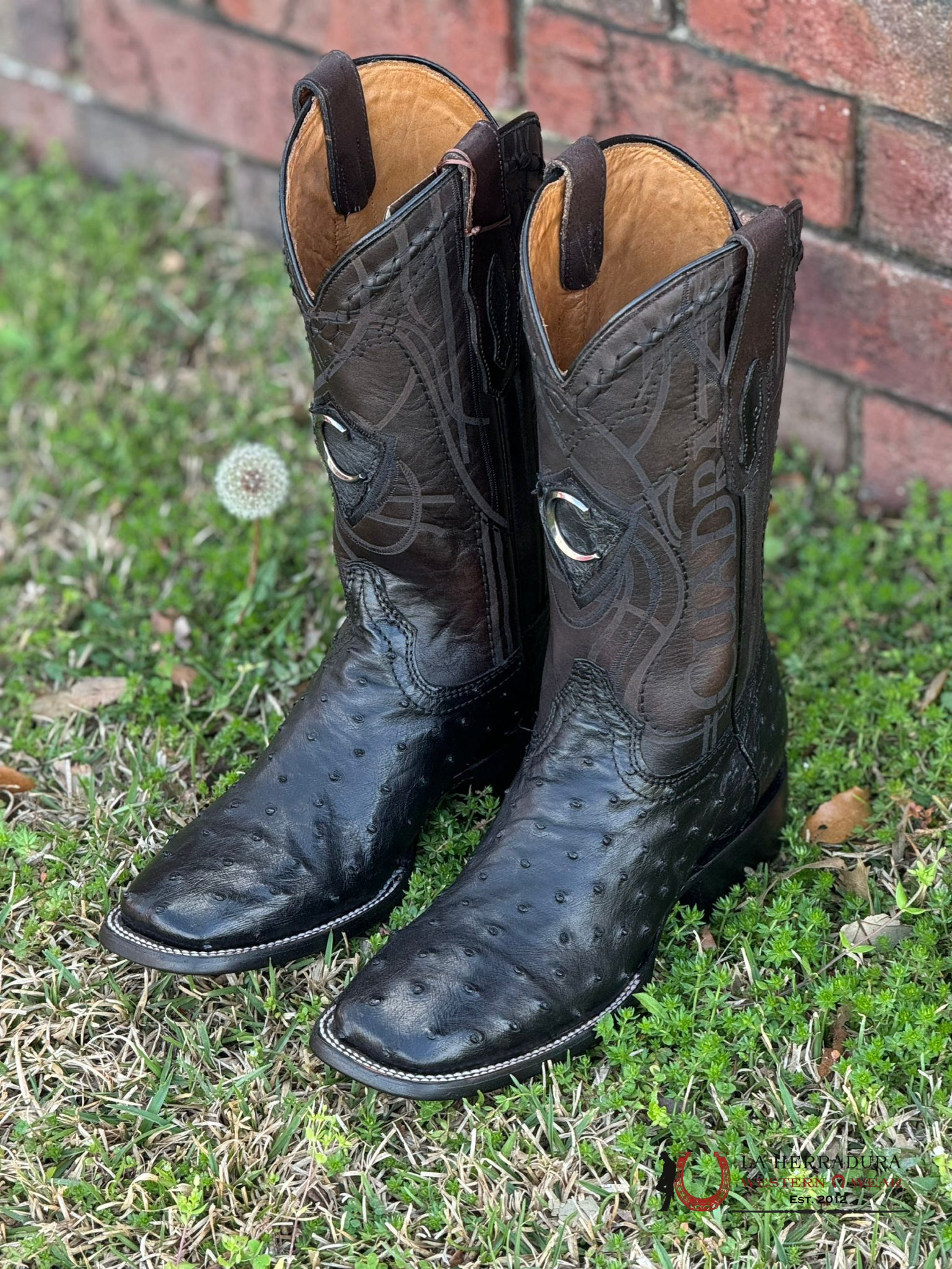 Cuadra Boots Ostrich Black Laser & Woven Square Toe Botas Hombres