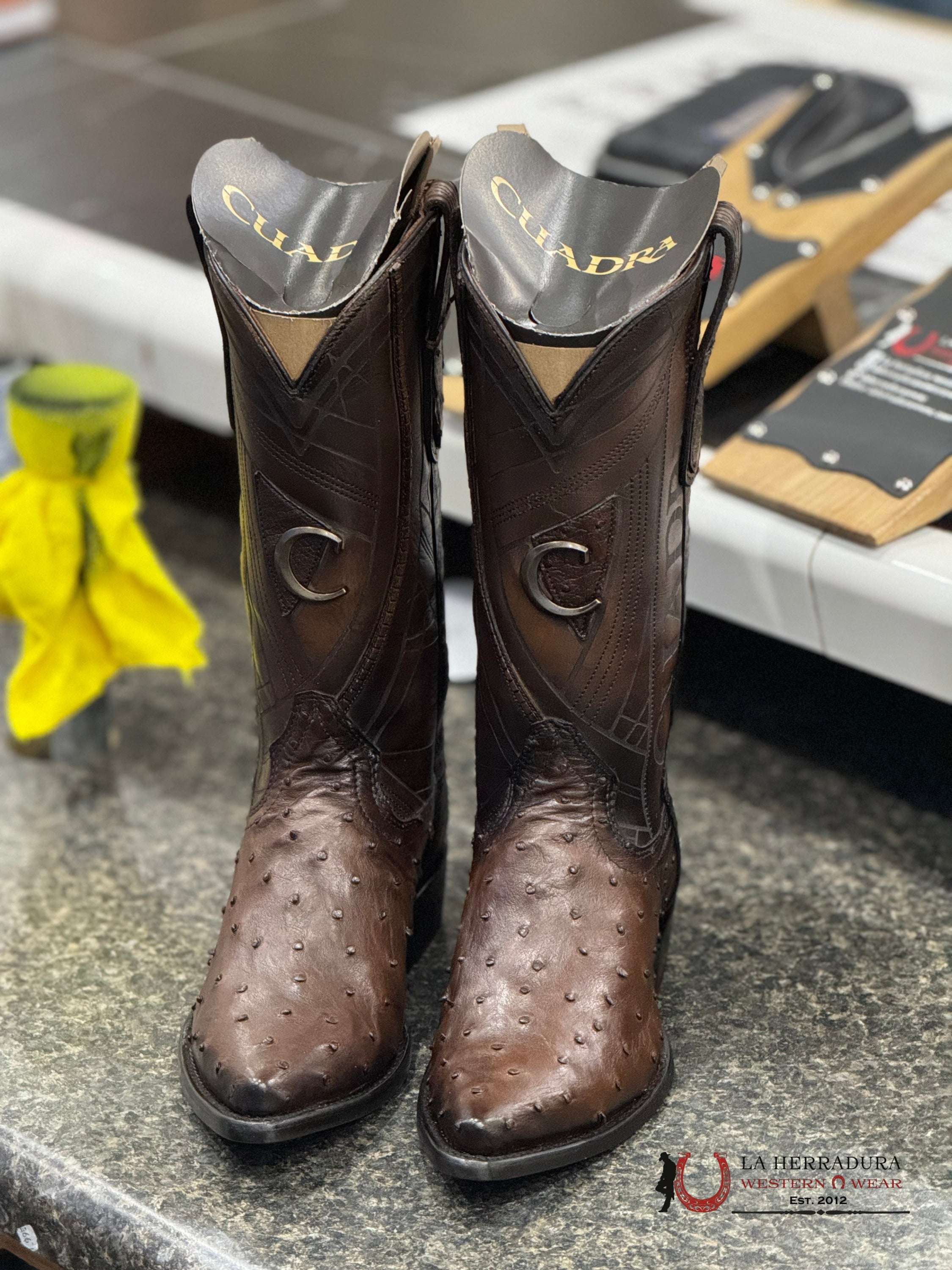 Cuadra Boots Ostrich Chocolate Laser & Embroidery Snip B22Pa1 Botas Hombres