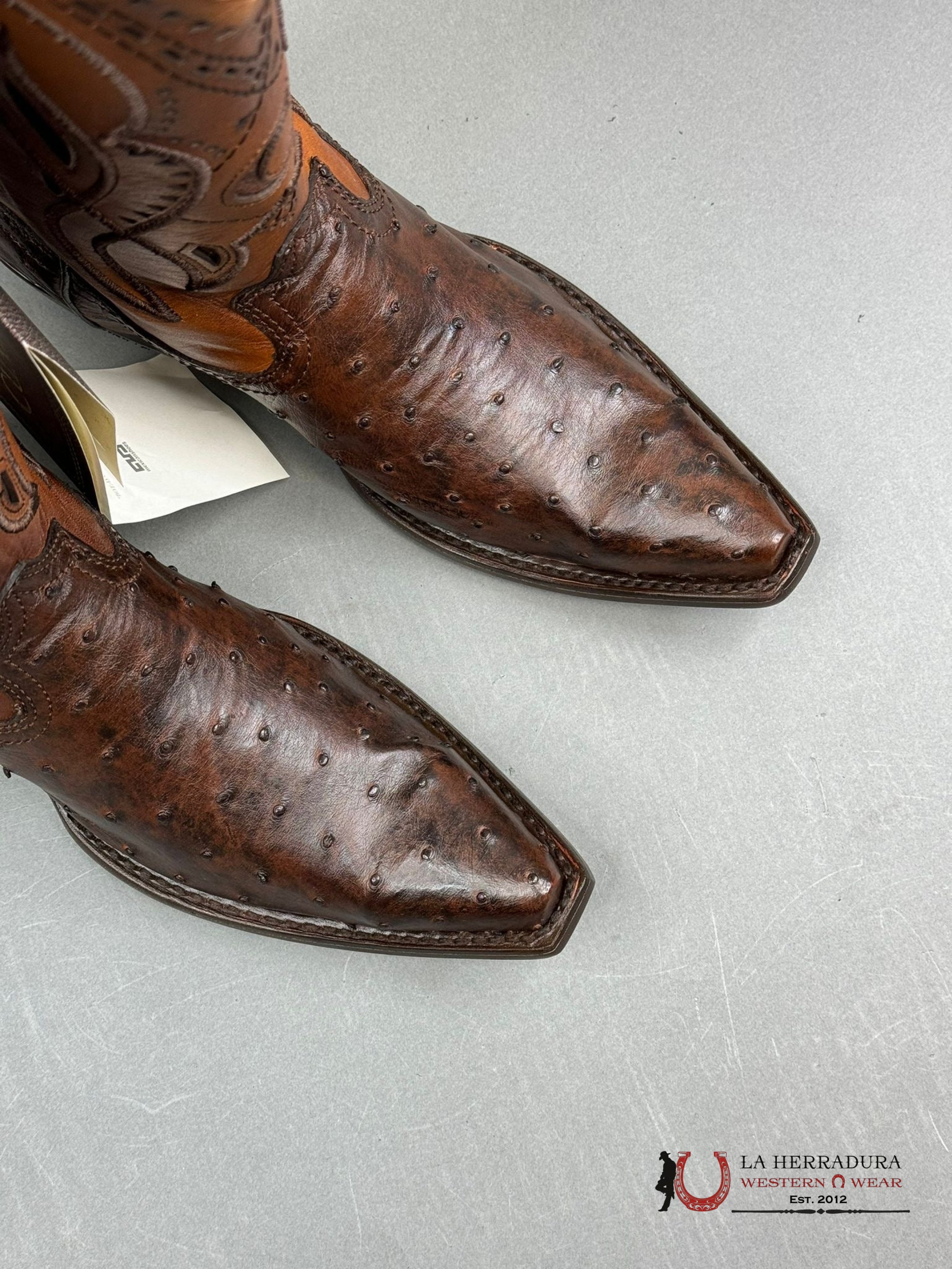 Cuadra Boots Ostrich Everest Chocolate Laser & Woven Snip Toe Botas Hombres