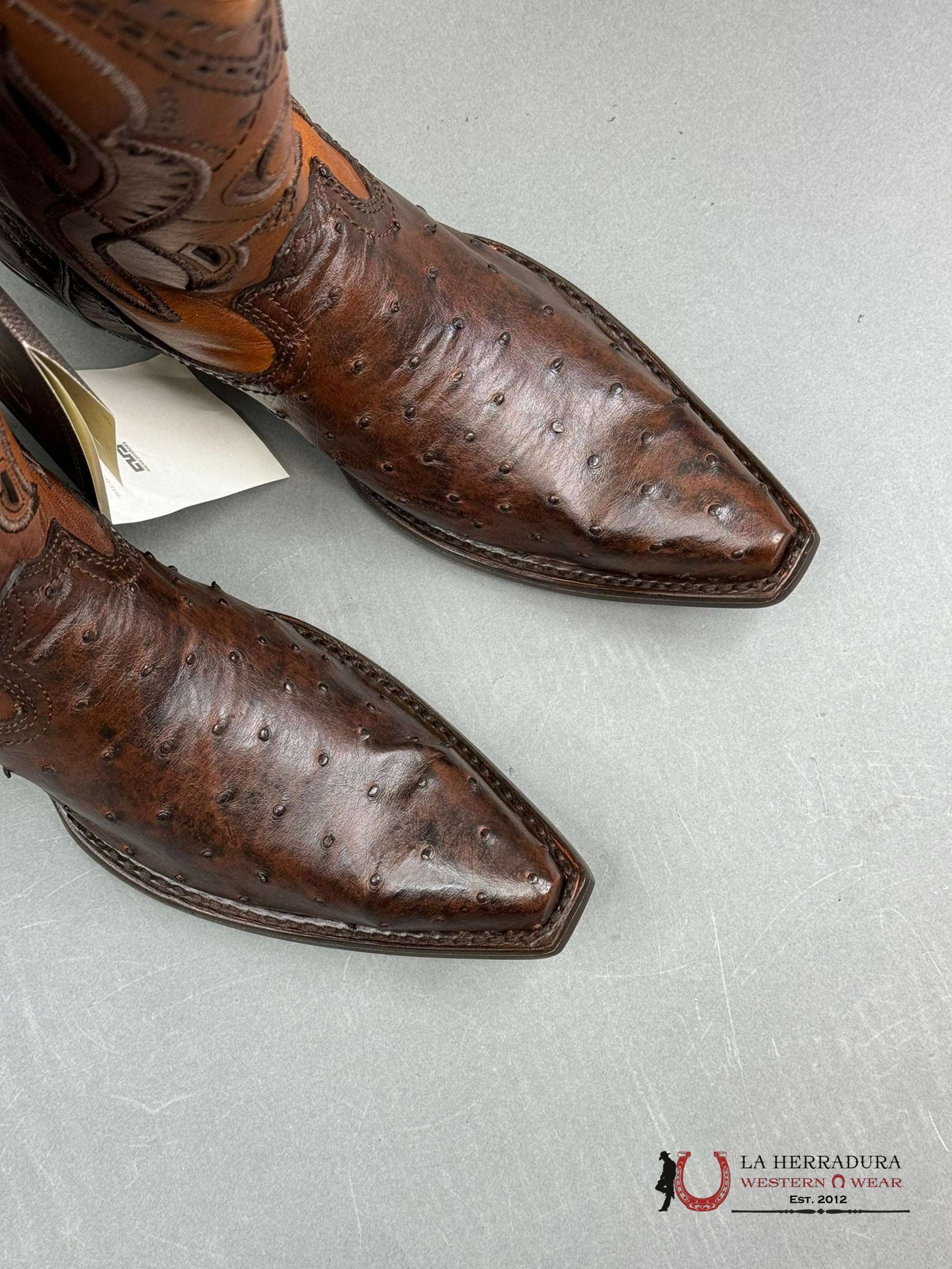 Cuadra Boots Ostrich Everest Chocolate Laser & Woven Snip Toe Botas Hombres
