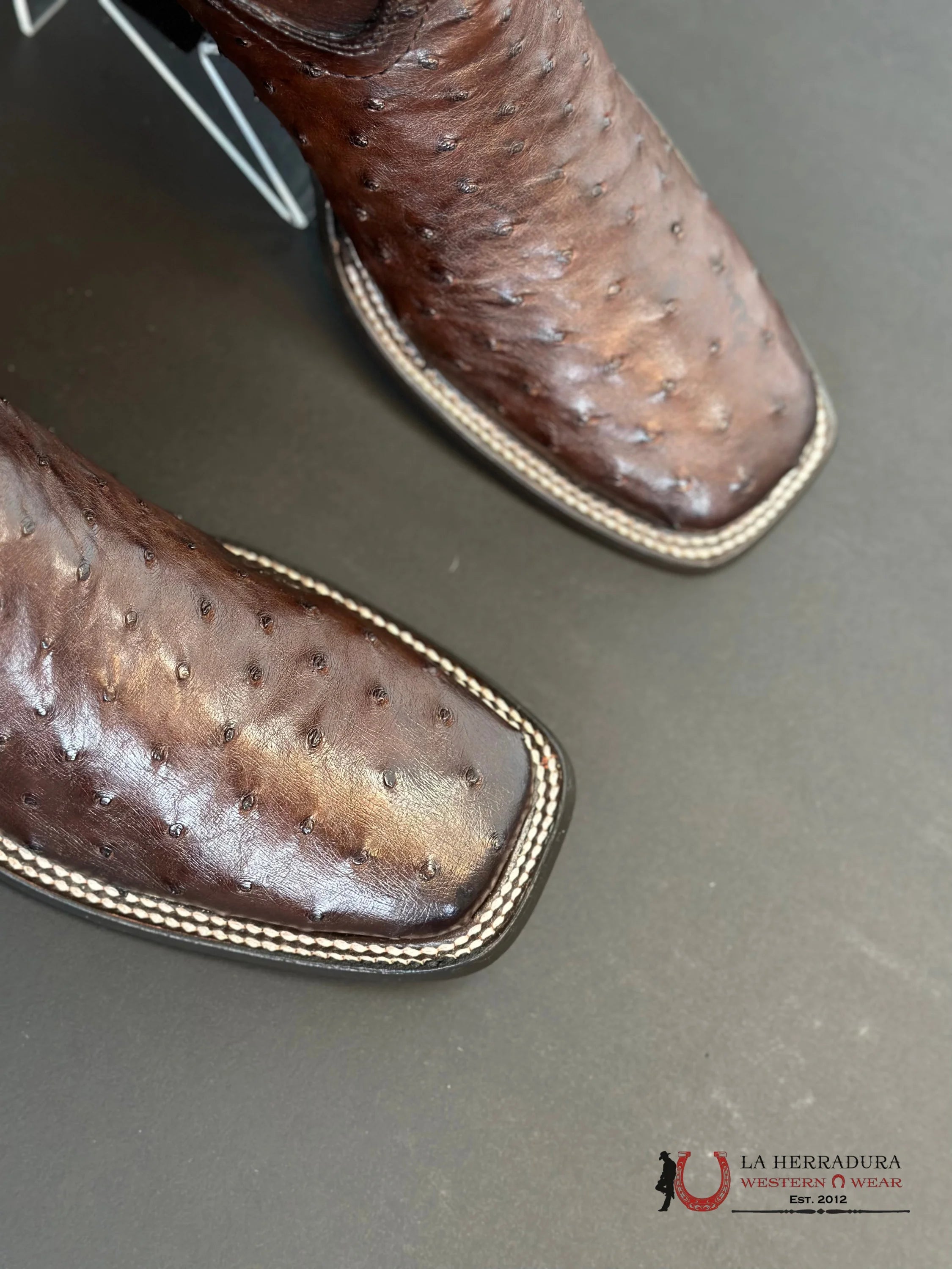 Cuadra Boots Ostrich Flame Cafe Laser Embroidery Square Toe