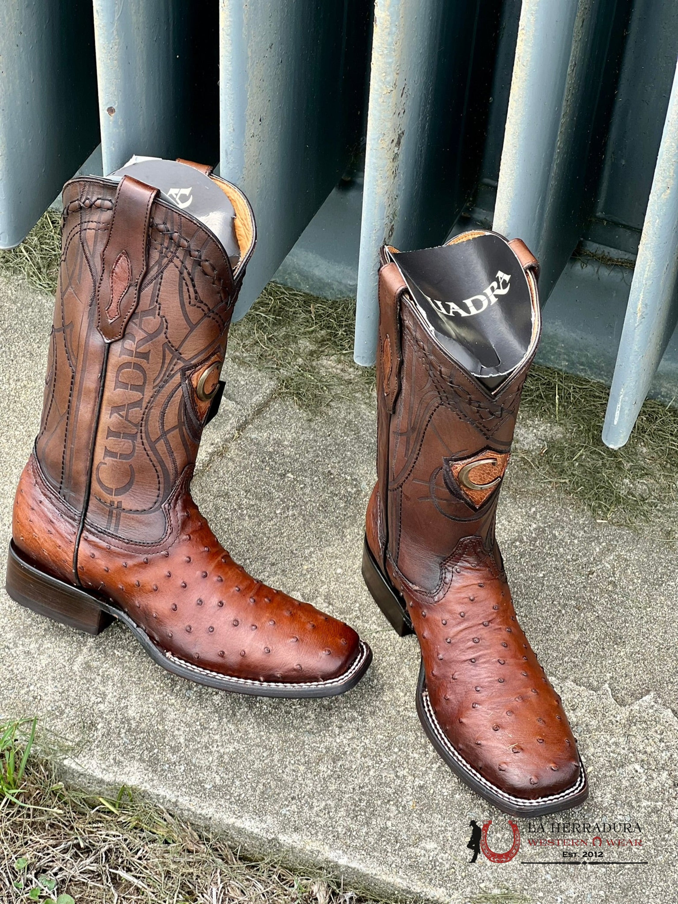 Cuadra Boots Ostrich Moroni Castaño Laser & Embroidery Square Toe