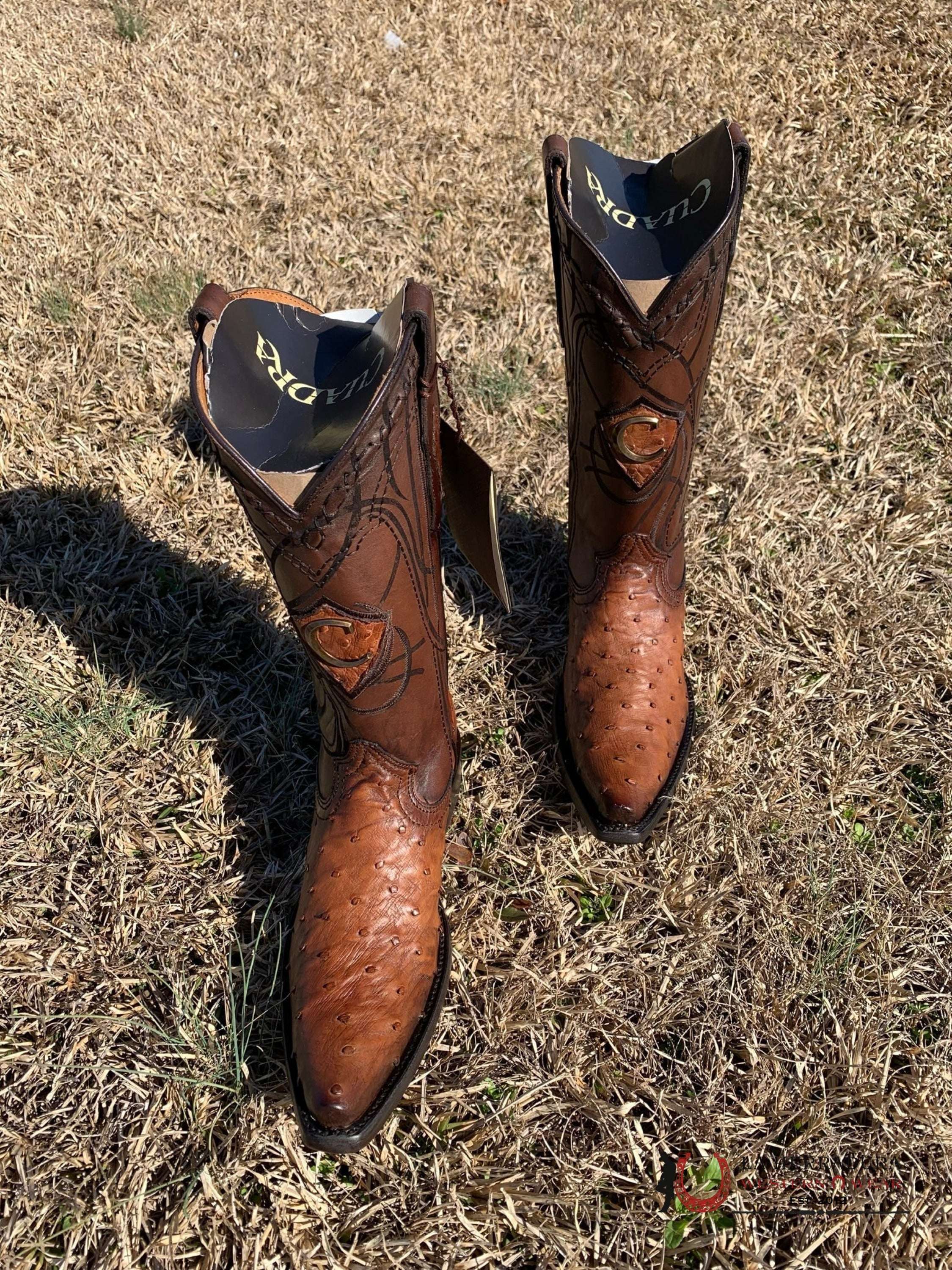 Cuadra Boots Ostrich Moroni Castaño Laser & Woven Snip Toe 8 Usa (México 27) / Botas Hombres
