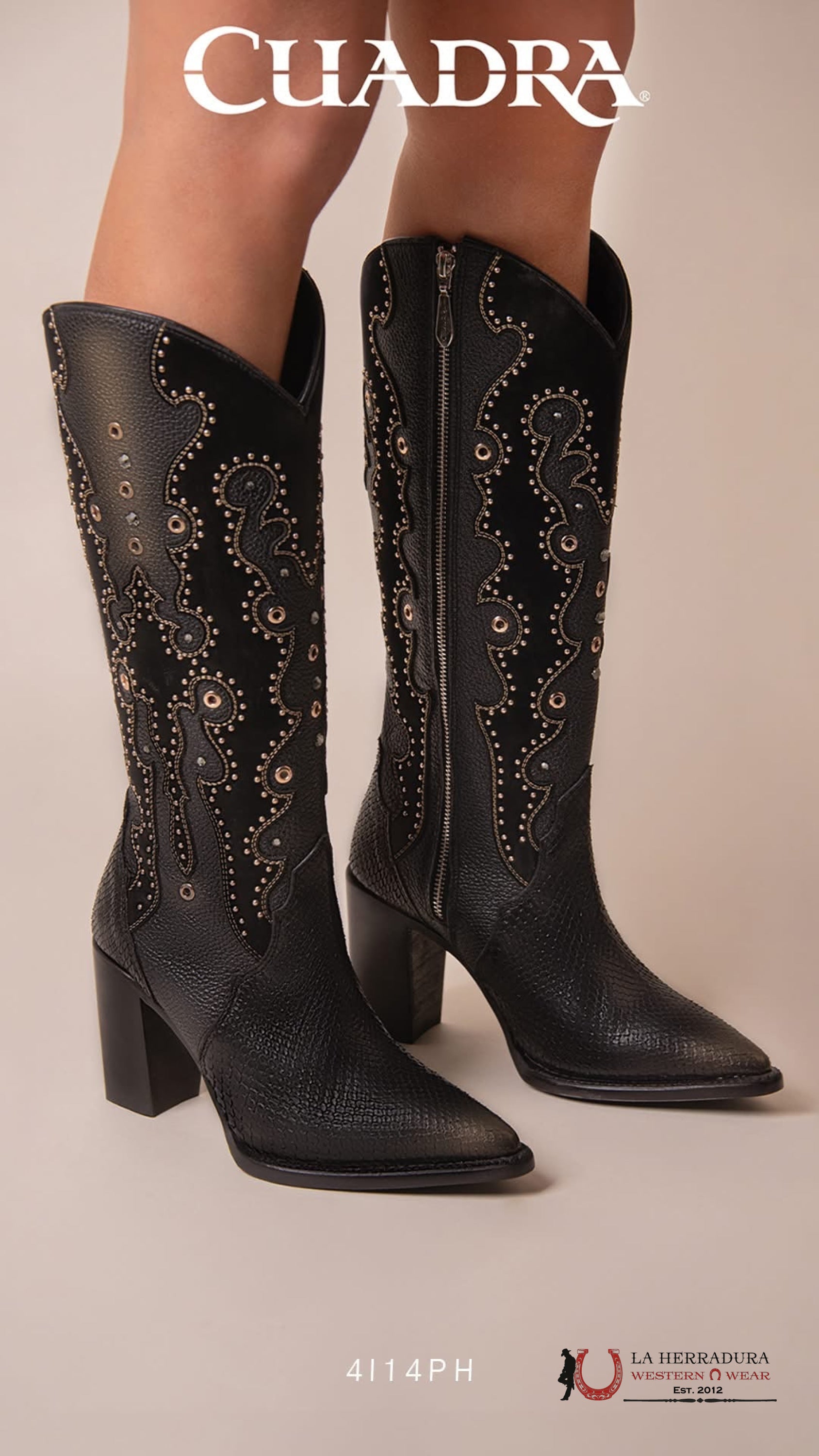 Cuadra Bota De Pitón Belly Plunge Negro Emb. & Studs Pointed Toe Botas Mujeres