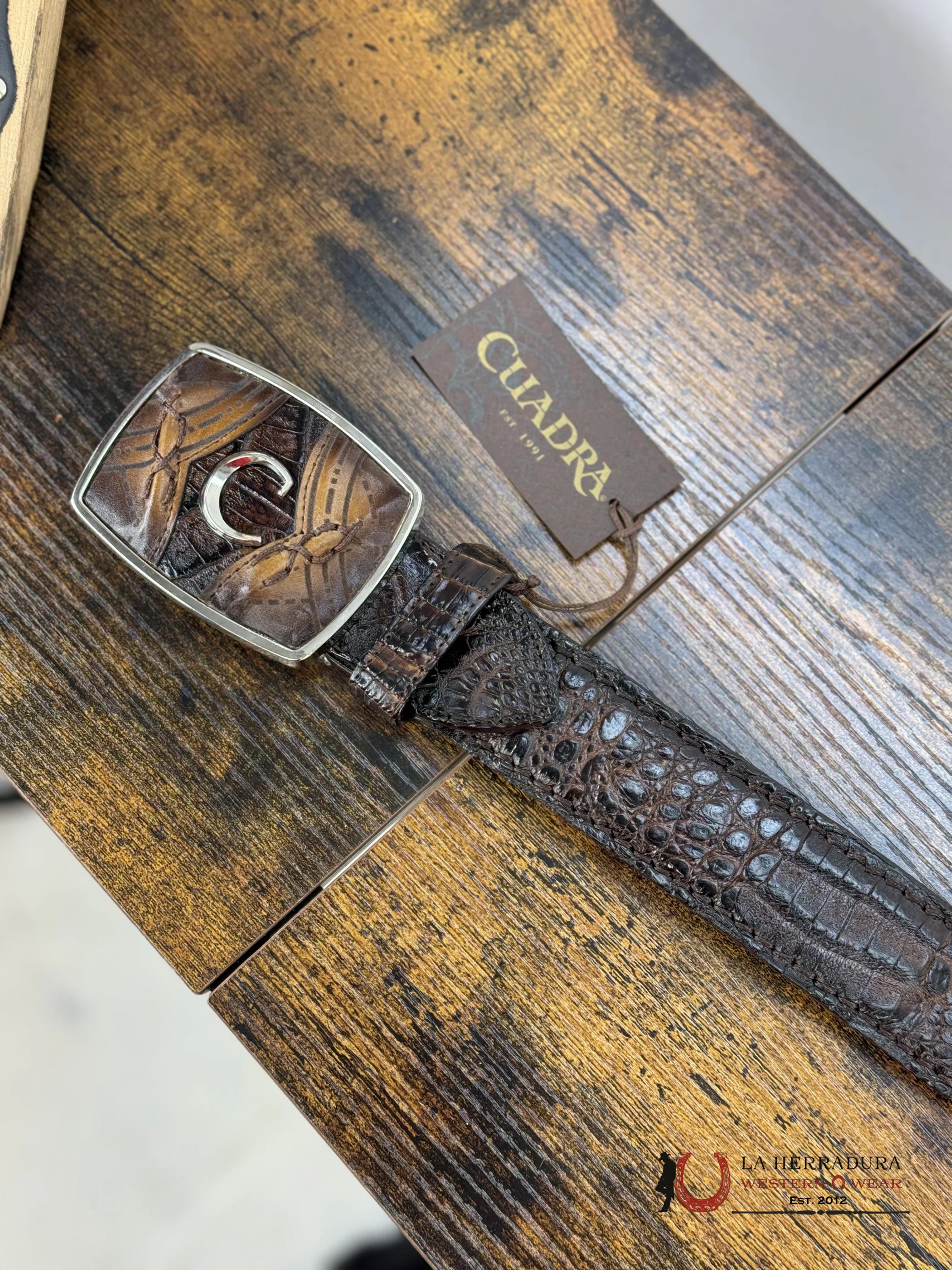 Cuadra Caiman Complete Atlantis Cafe Belt Cinturones Hombres