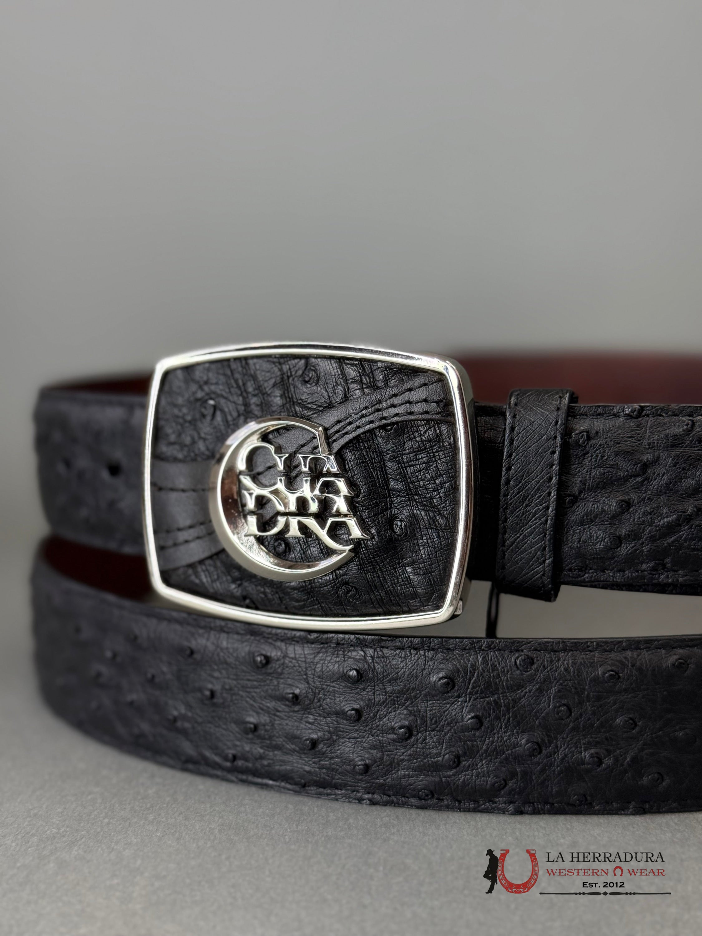 CUADRA Cinto De Avestruz Negro Completo CINTURONES HOMBRES