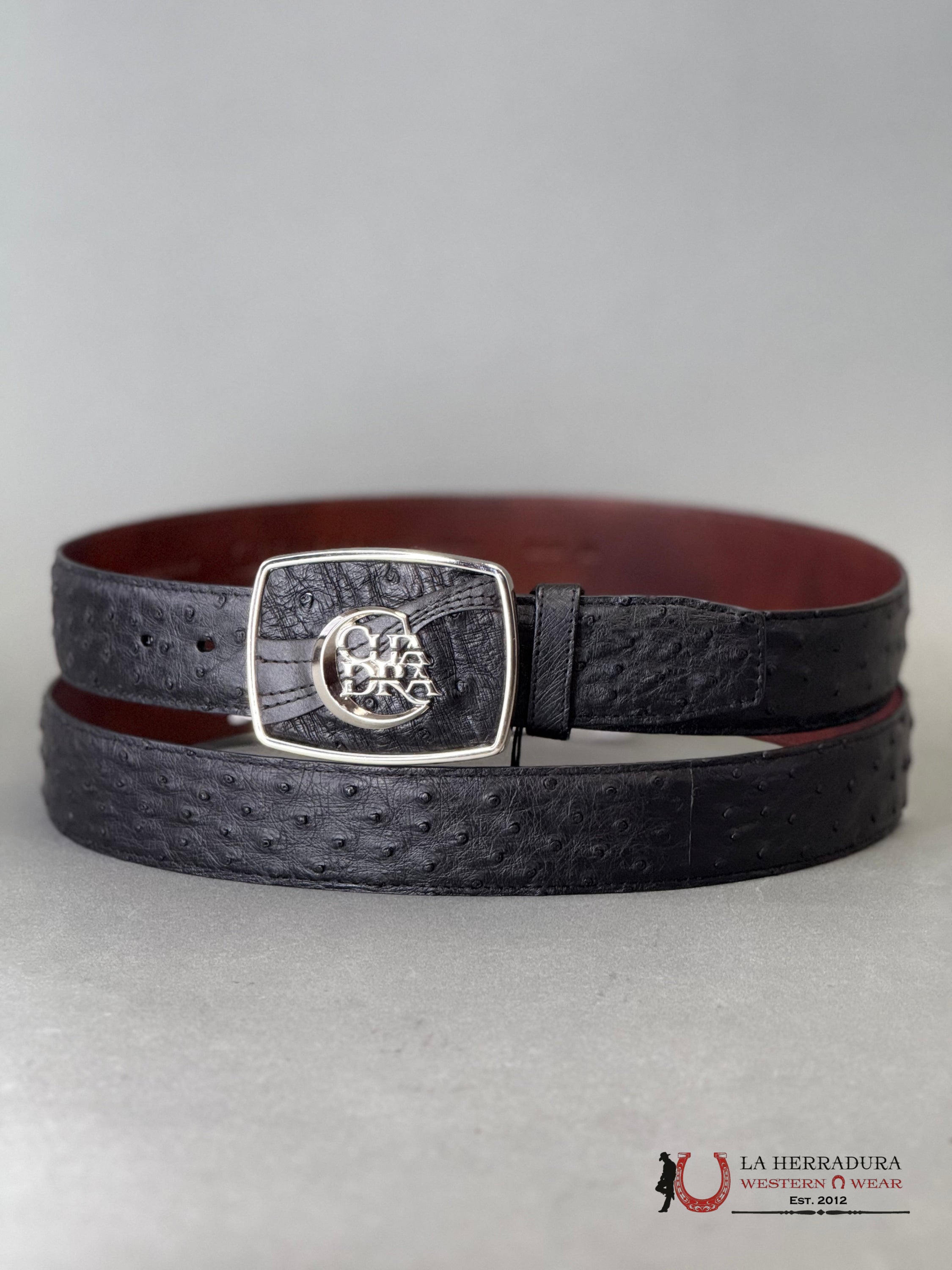 CUADRA Cinto De Avestruz Negro Completo CINTURONES HOMBRES