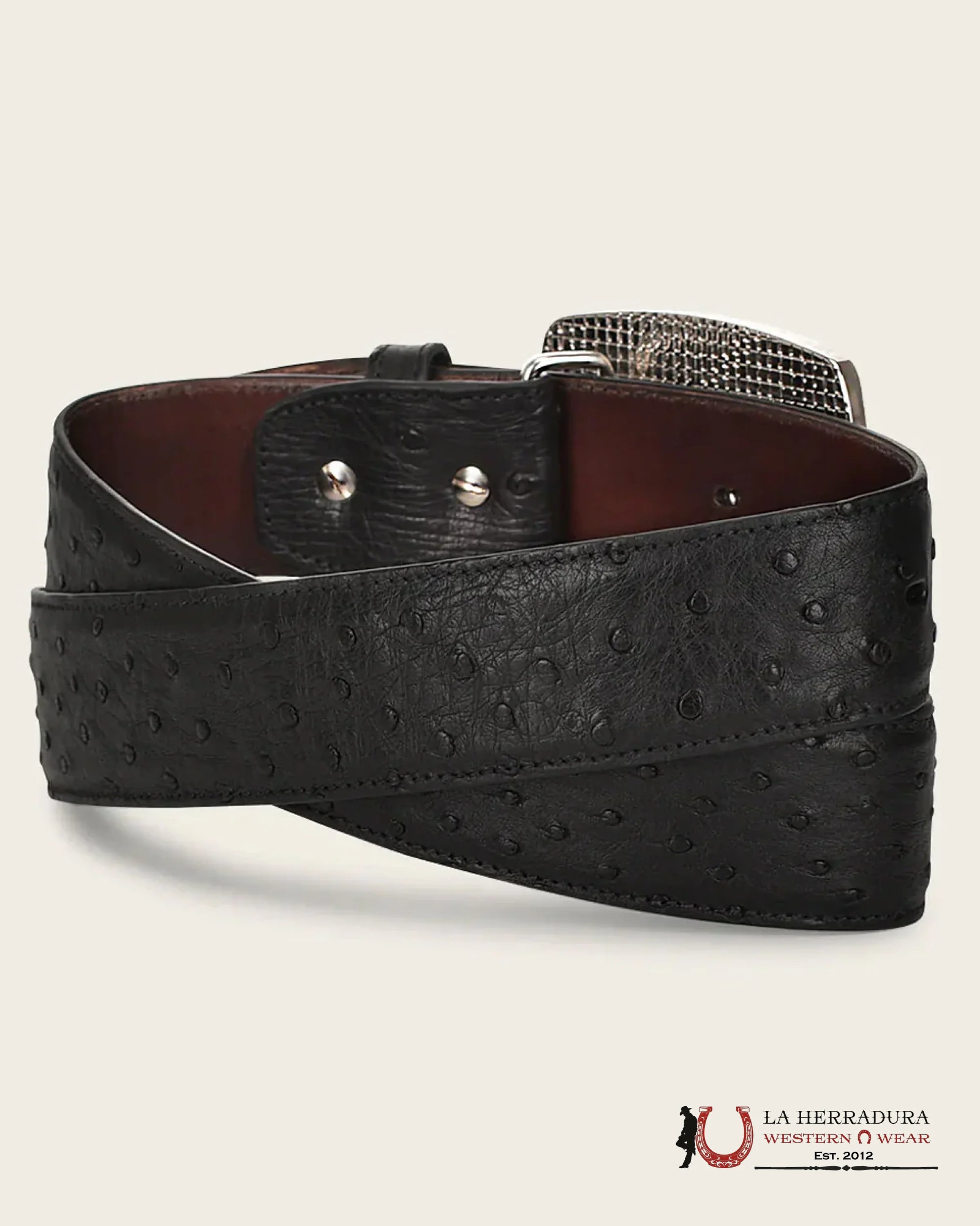 CUADRA Cinto De Avestruz Negro Completo CINTURONES HOMBRES