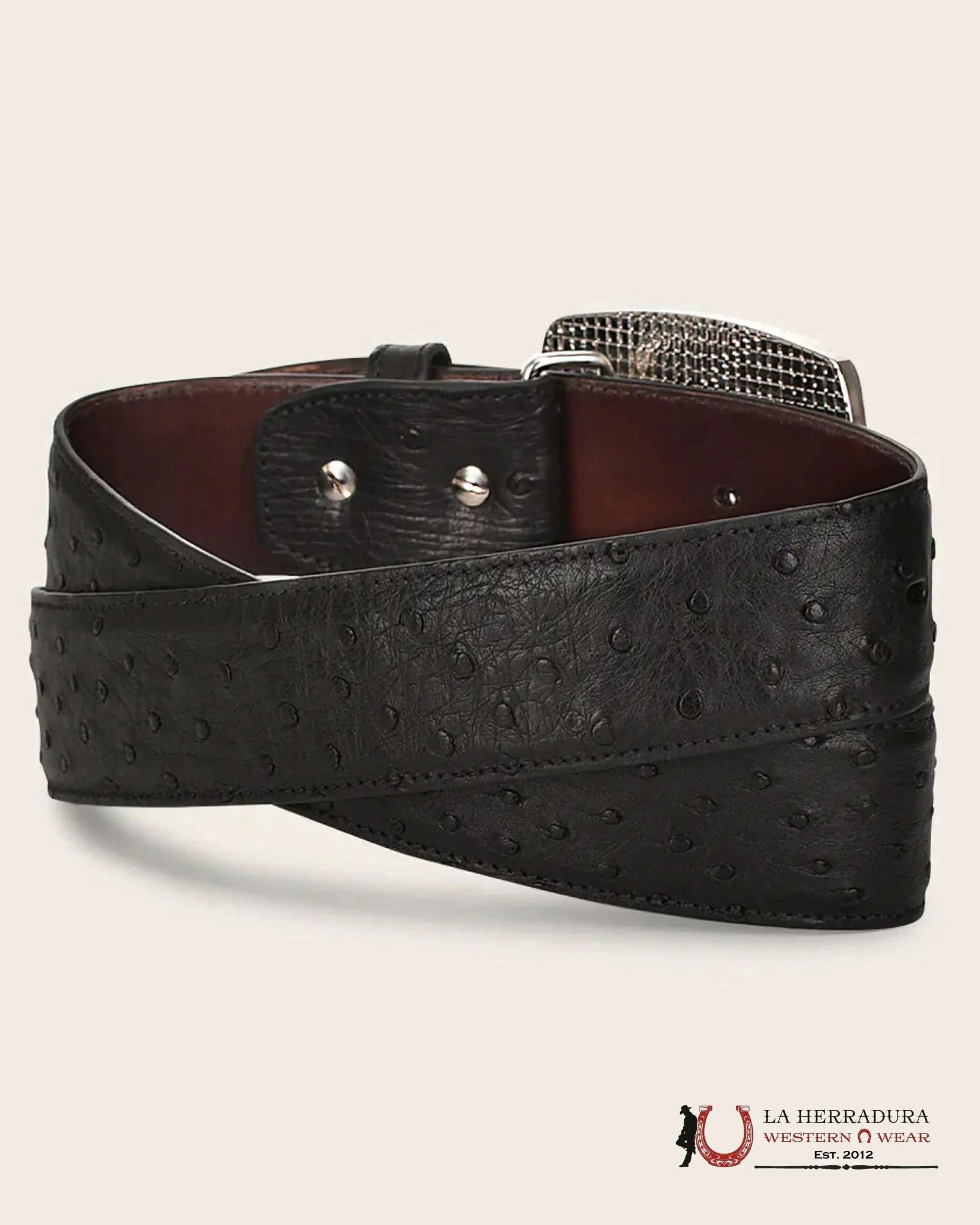 CUADRA Cinto De Avestruz Negro Completo CINTURONES HOMBRES