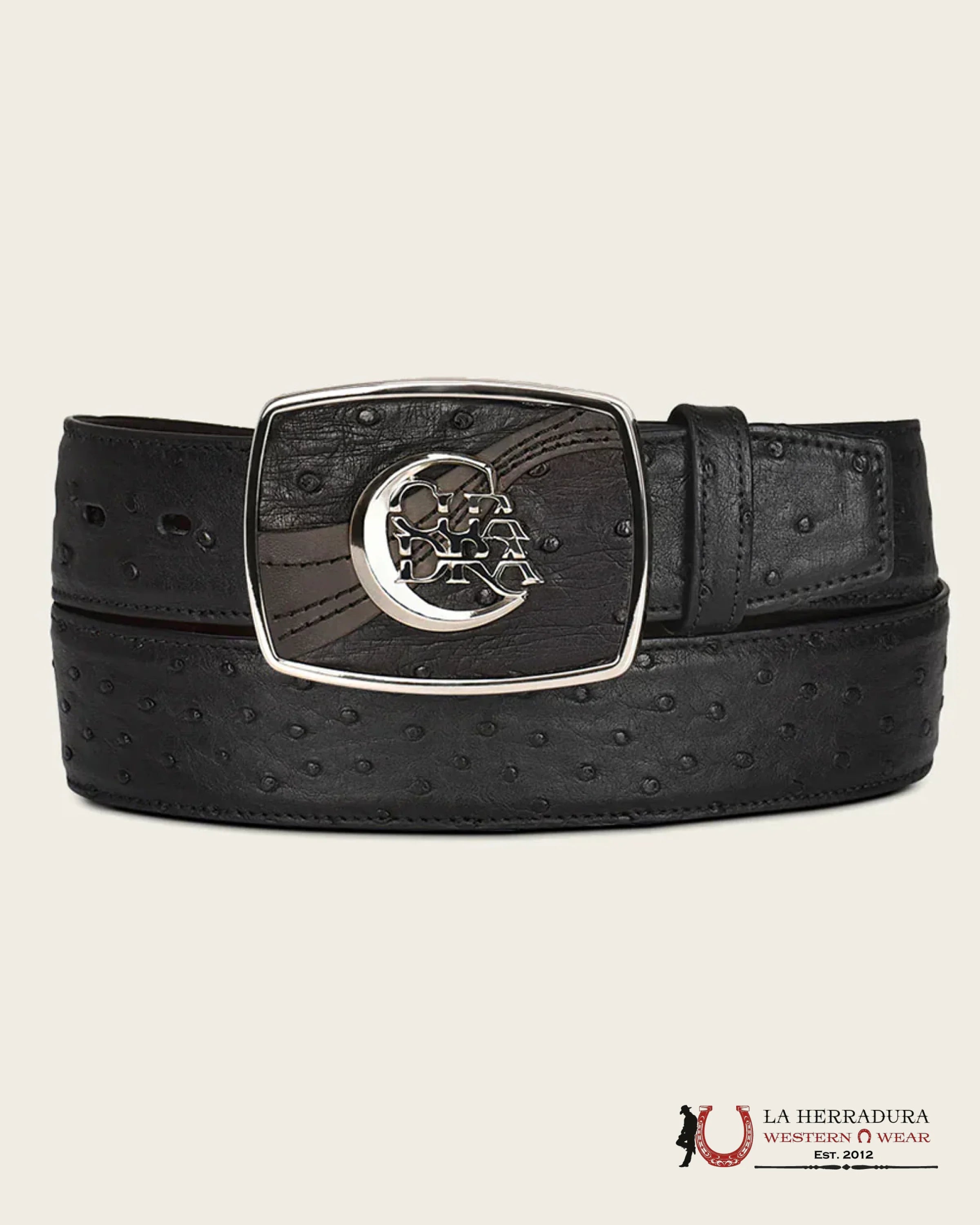 CUADRA Cinto De Avestruz Negro Completo CINTURONES HOMBRES