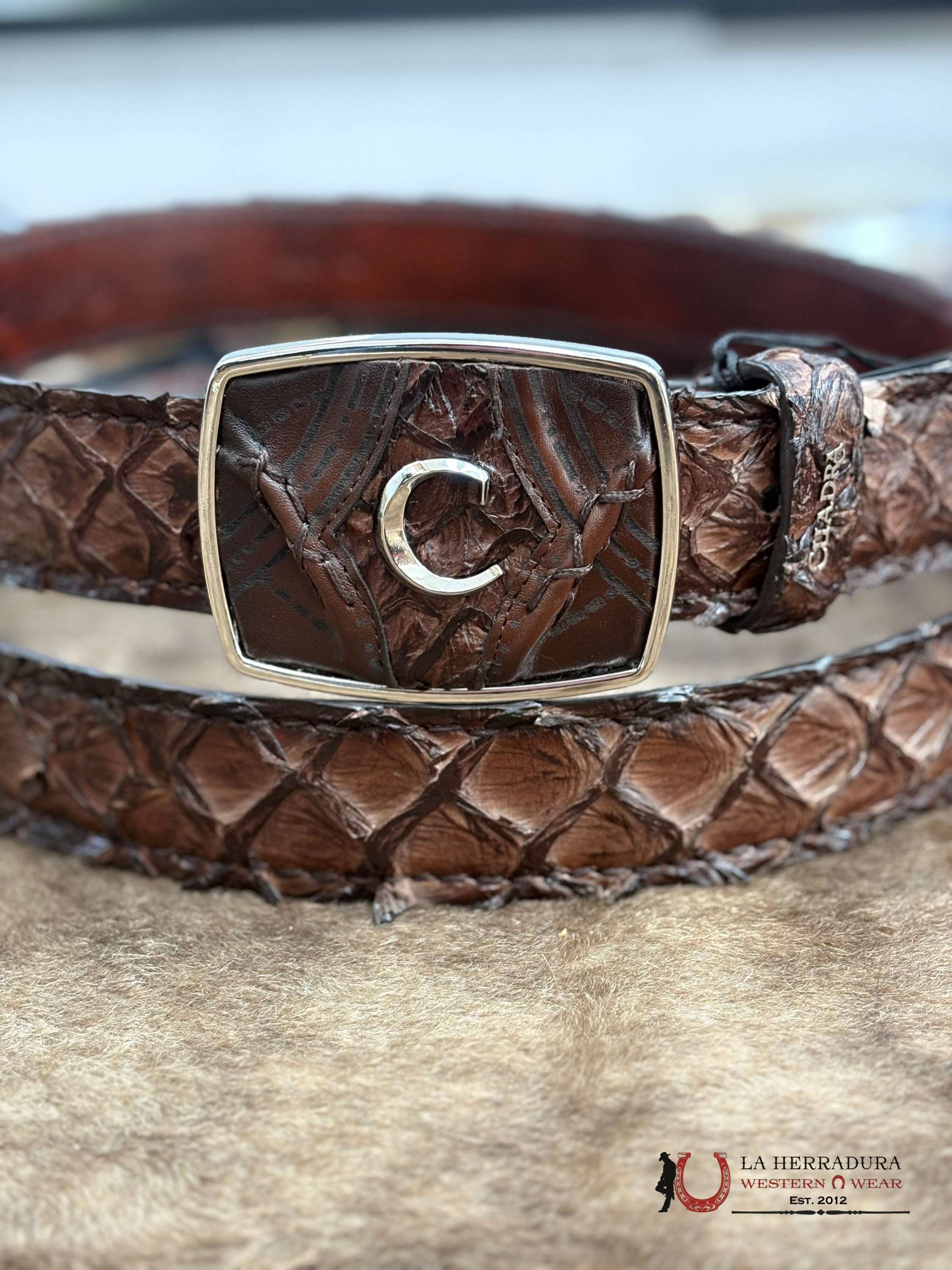 CUADRA CINTO PIRARUCU CHOCOLATE CINTURONES HOMBRES