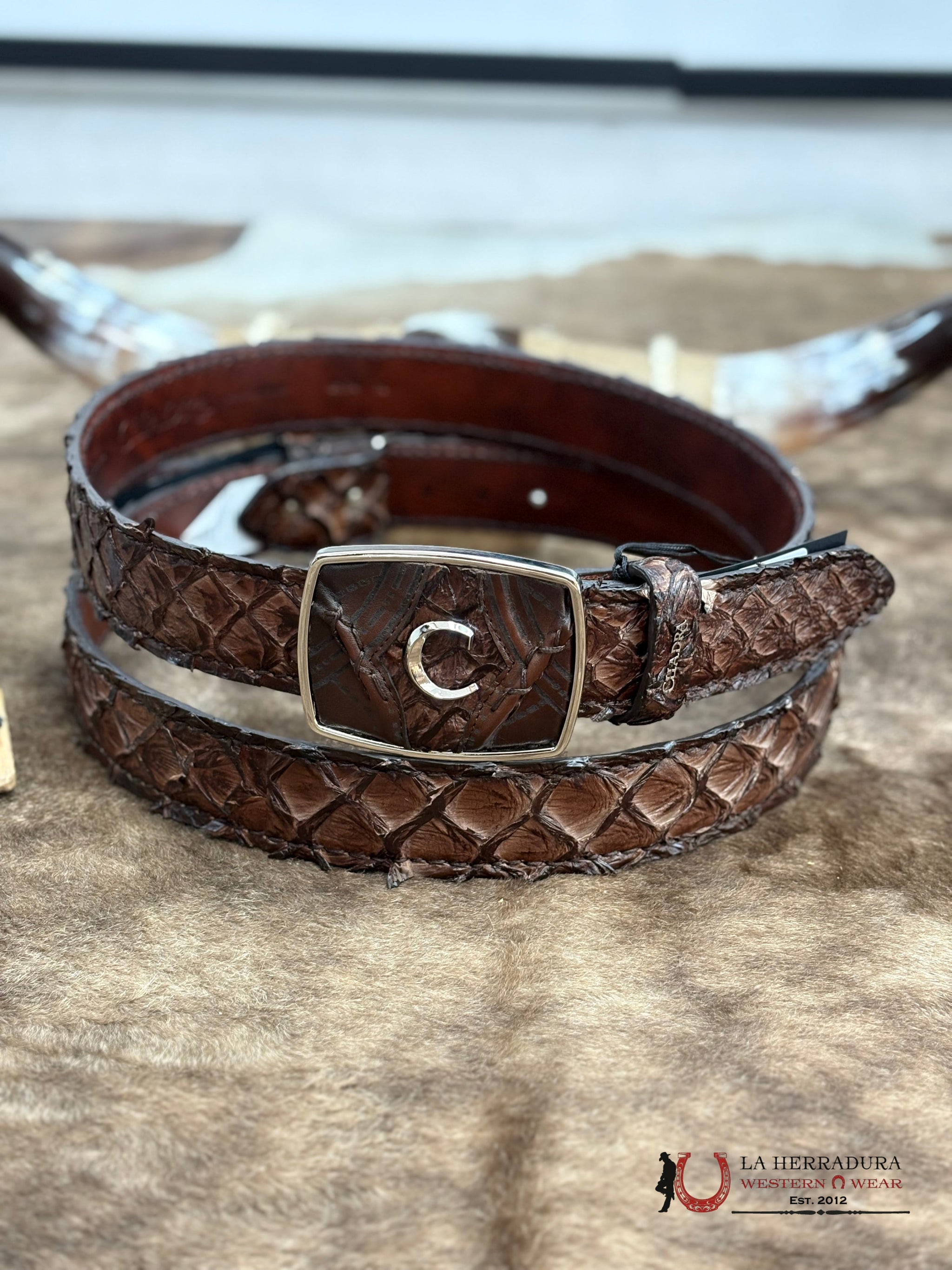 CUADRA ARAPAIMA BELT CHOCOLATE BC390 - Main Image