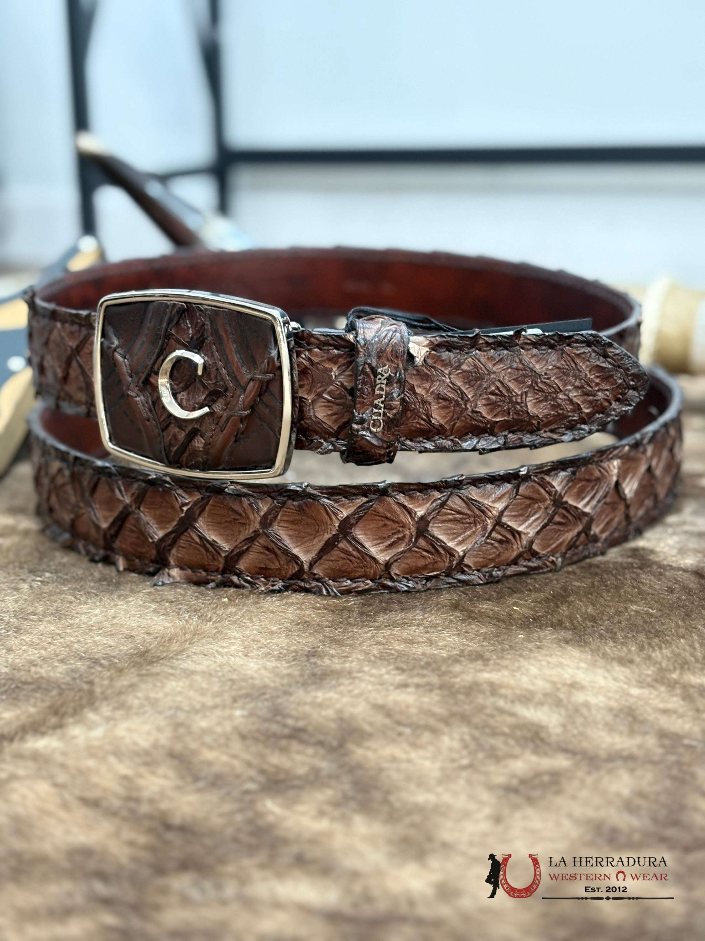CUADRA CINTO PIRARUCU CHOCOLATE CINTURONES HOMBRES
