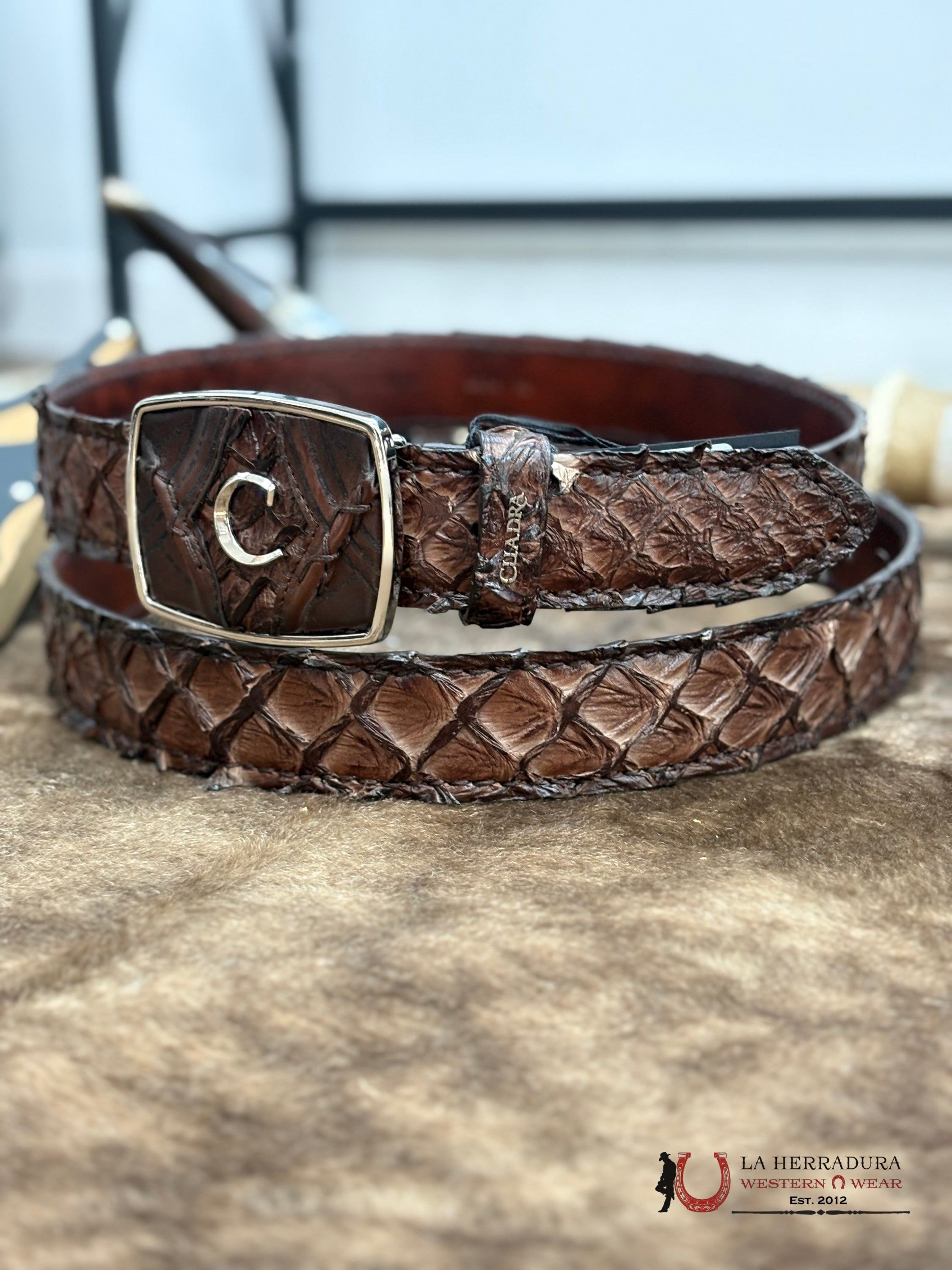 CUADRA CINTO PIRARUCU CHOCOLATE CINTURONES HOMBRES