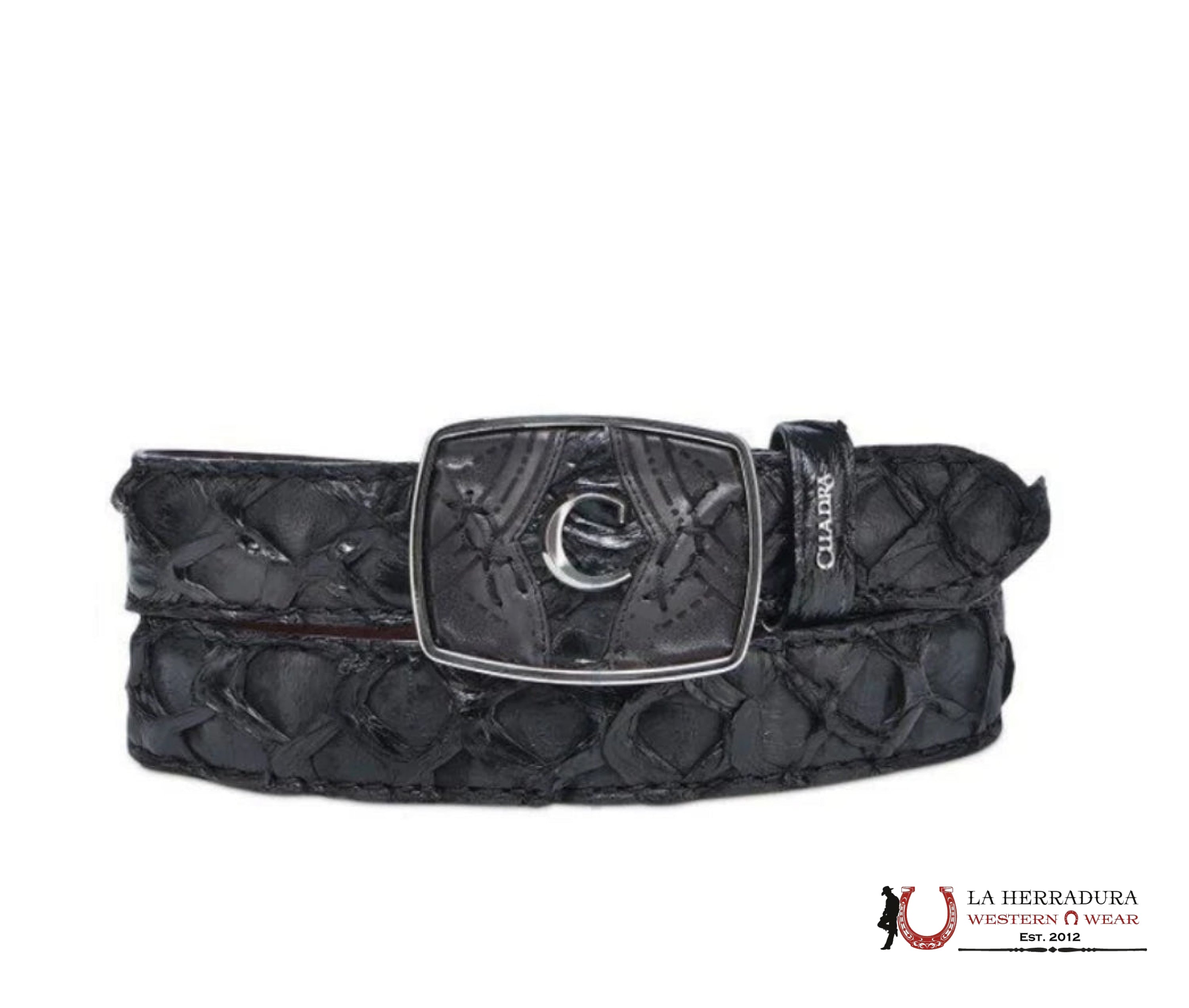 CUADRA CINTO PIRARUCU NEGRO BC389 CINTURONES HOMBRES